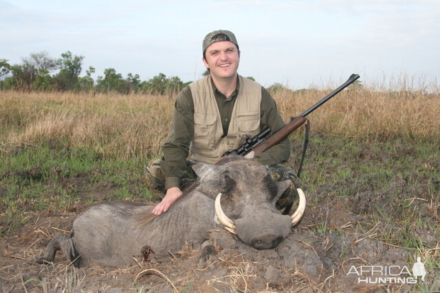 Warthog Tanzania