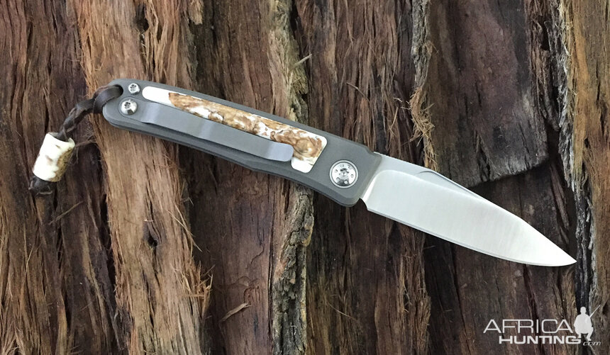 Warthog Tusk (Dyed) Rinkhals Slip Joint Folder from African Sporting Creations