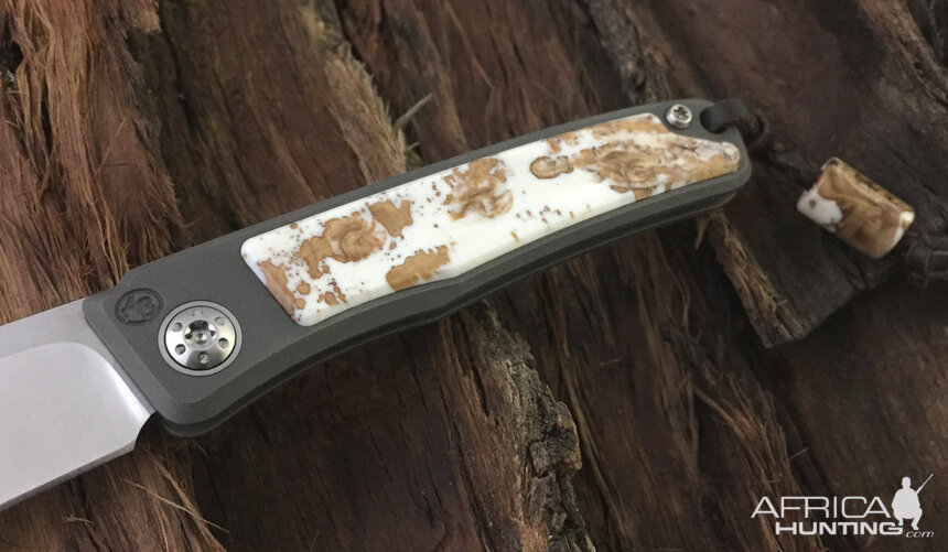 Warthog Tusk (Dyed) Rinkhals Slip Joint Folder from African Sporting Creations