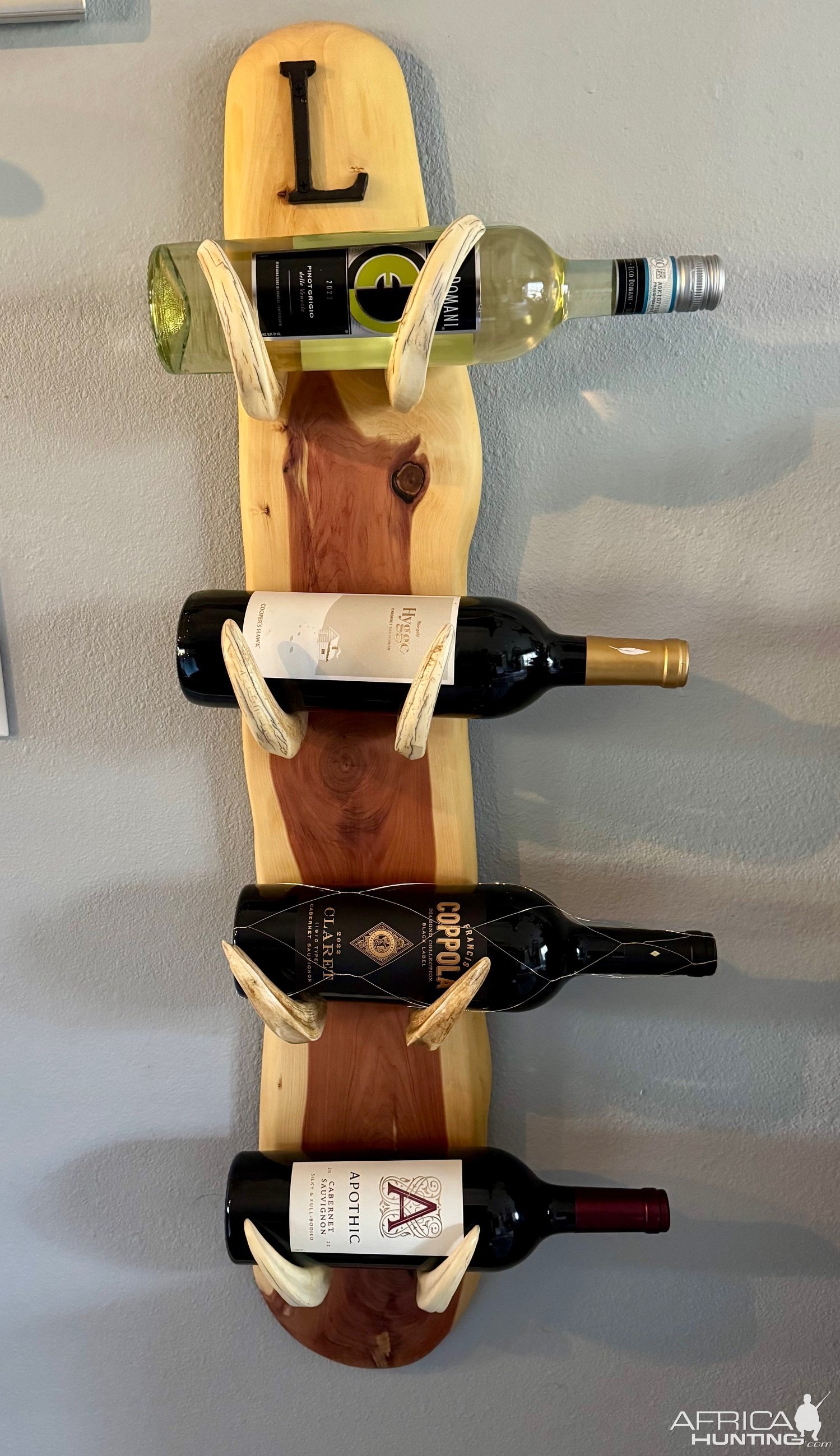 Warthog Tusk Wine Holder