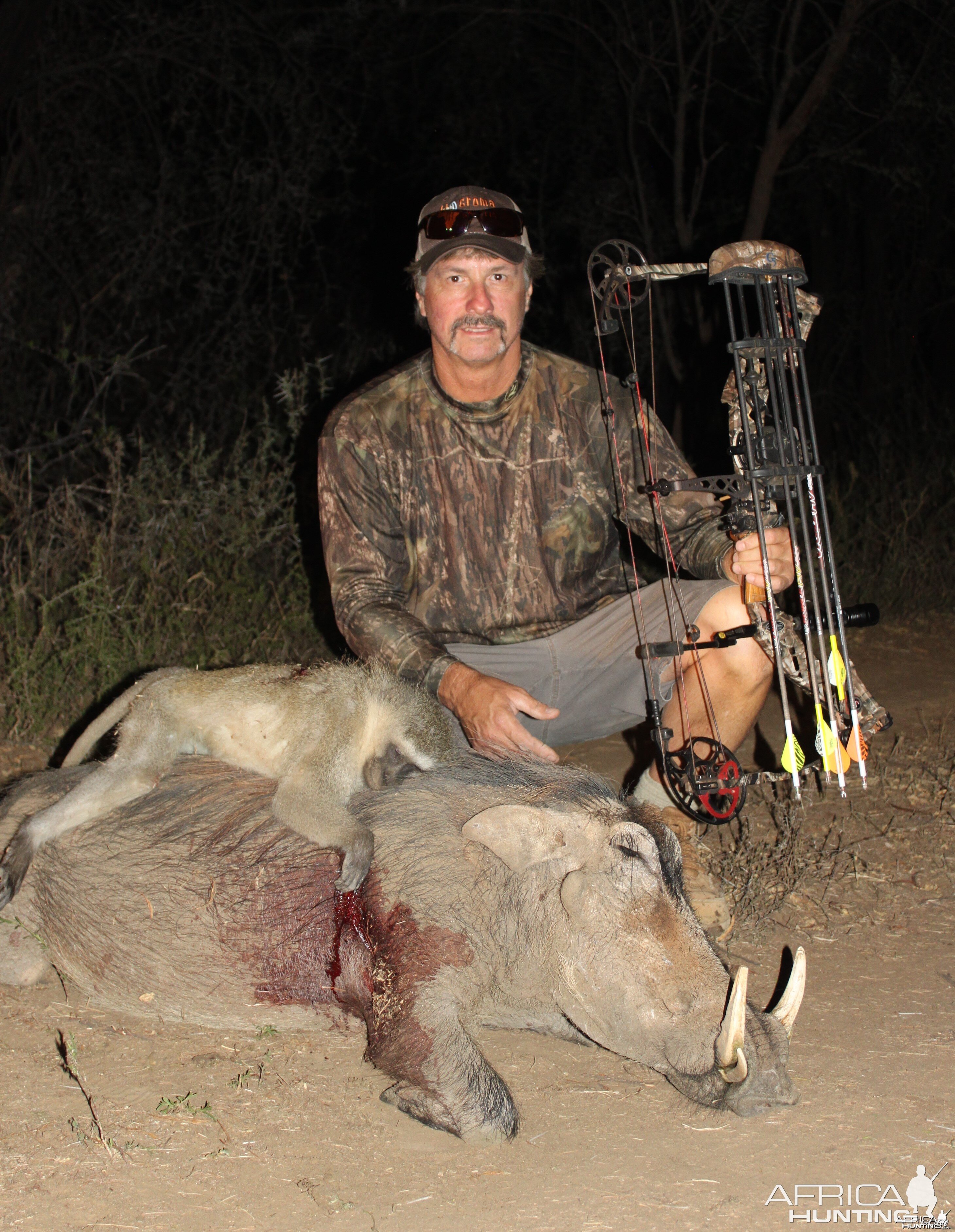 Warthog-Vervet Monkey double-header Limcroma Safaris 2015