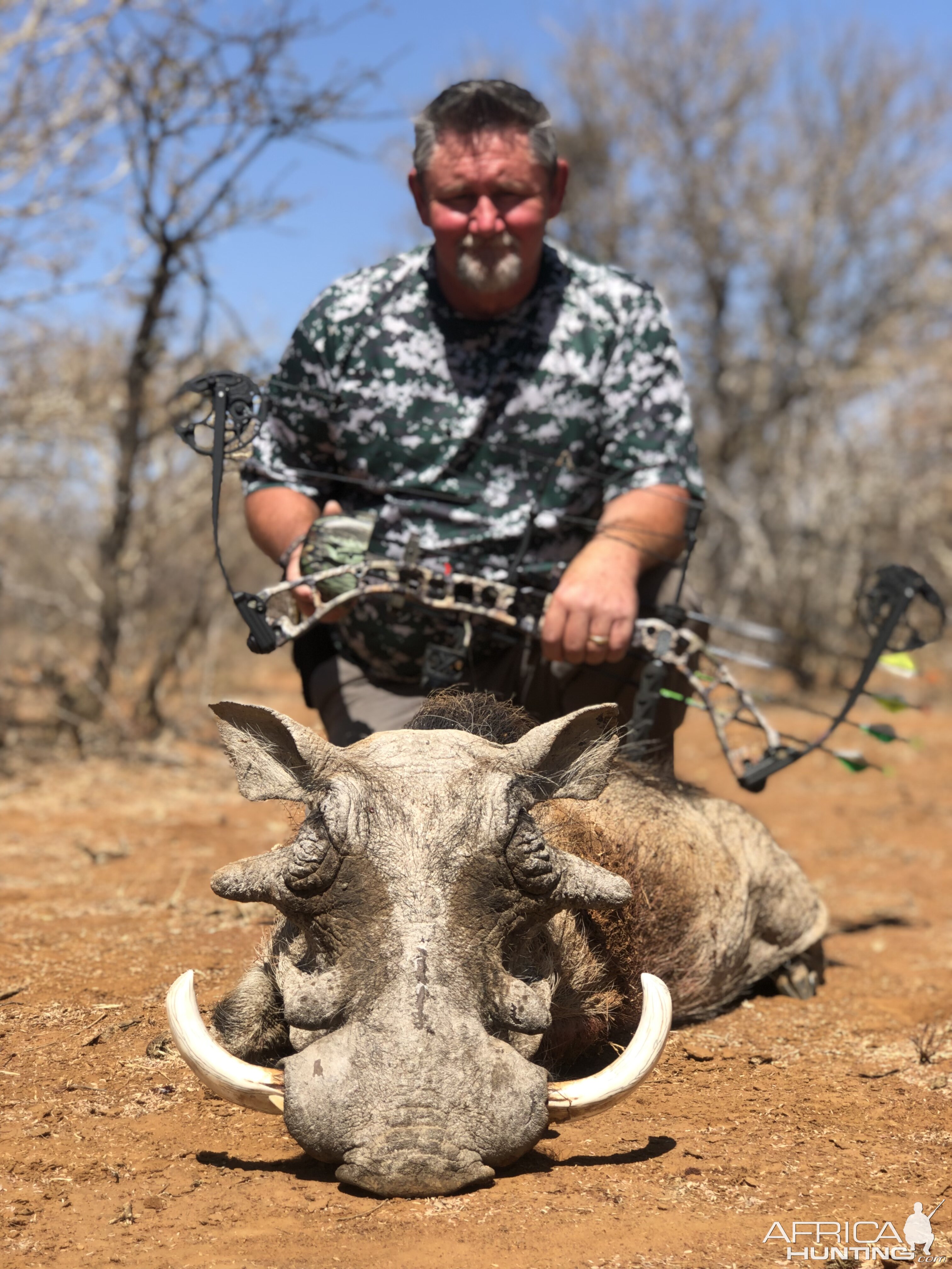 Warthog with Compund bow