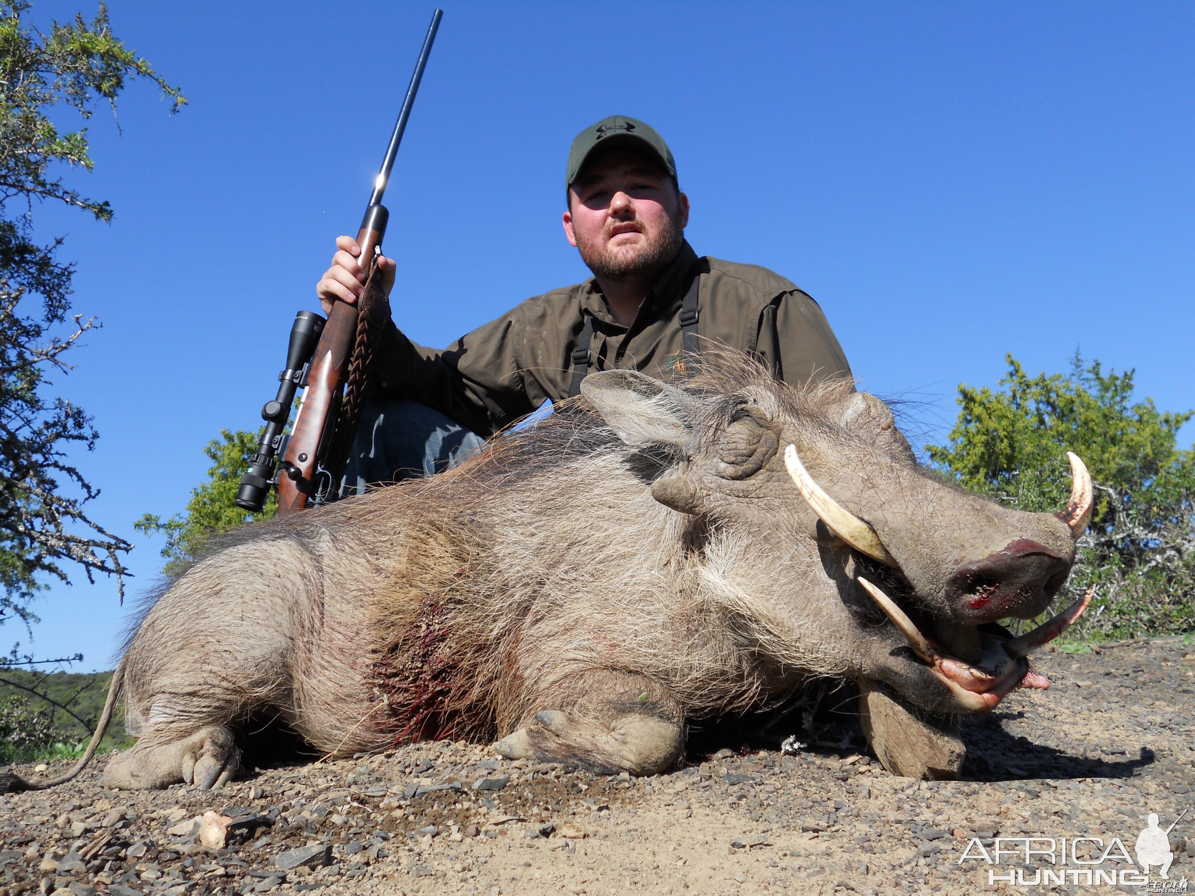 Warthog with my PH Lance Charles with Russ Field Safaris