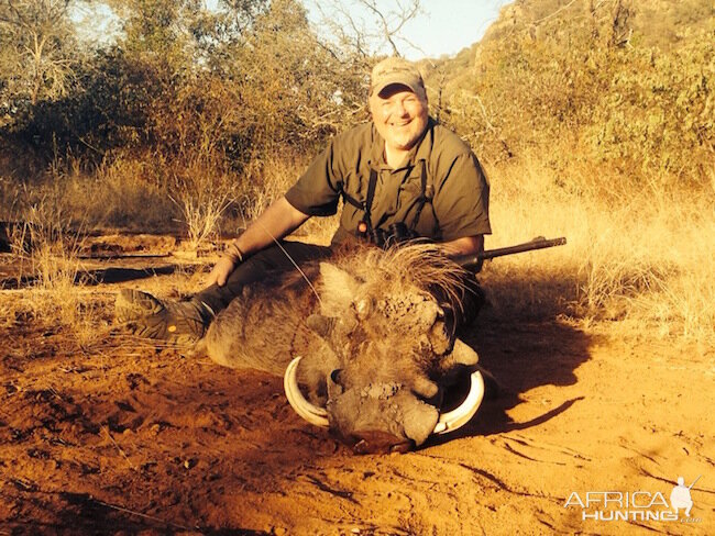 Warthog Zimbabwe Hunt