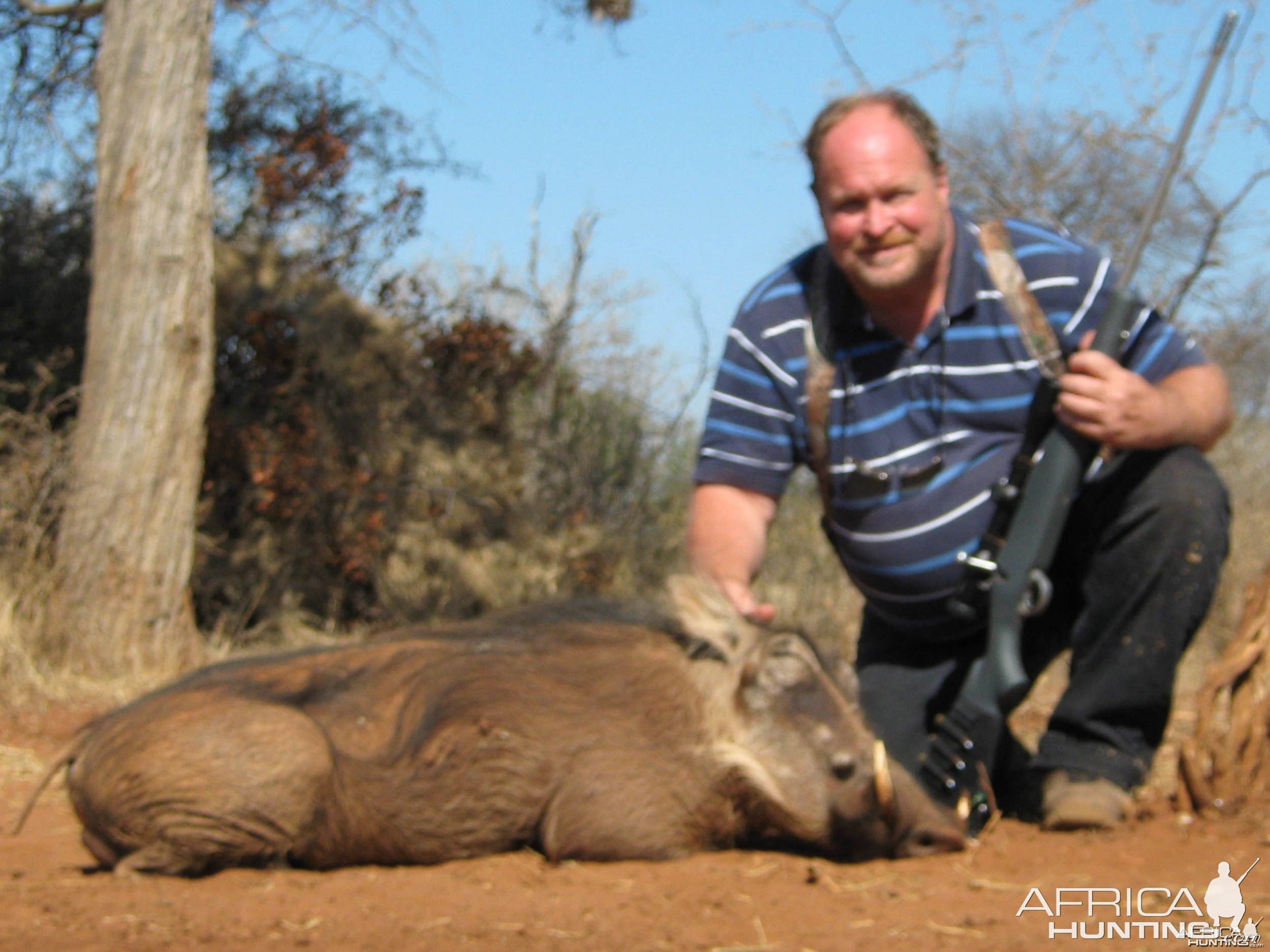 Warthog