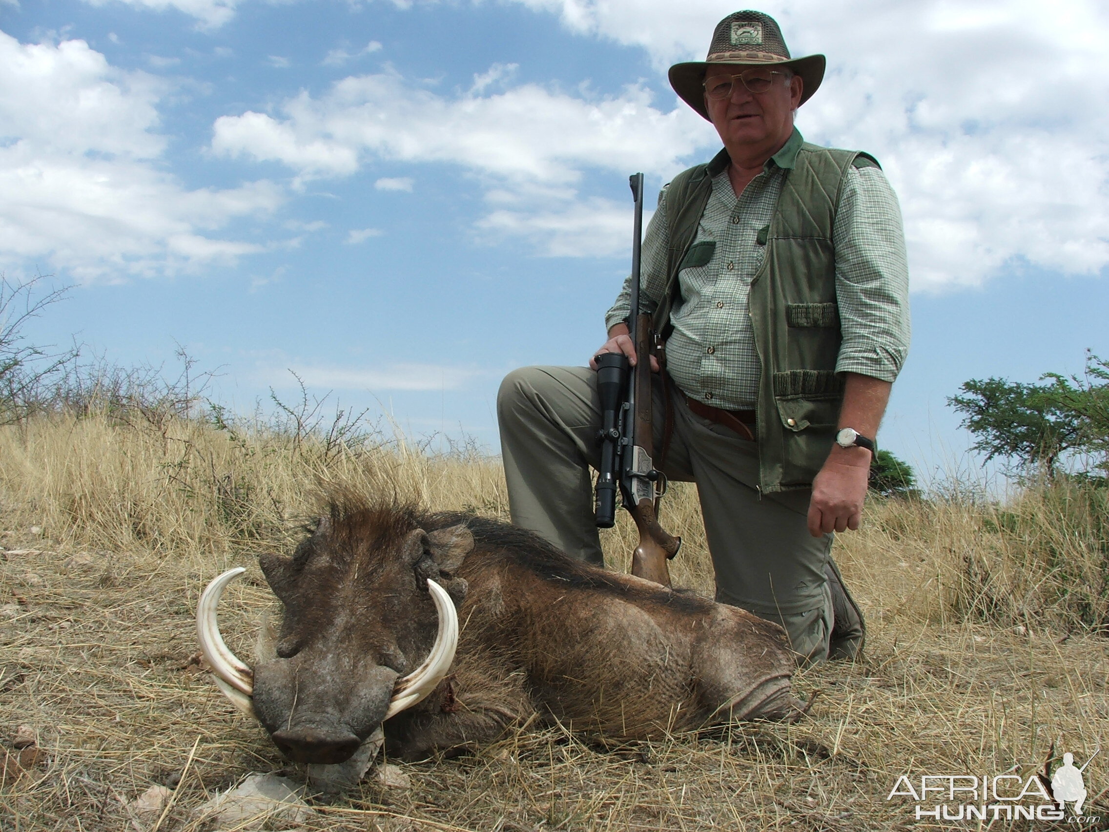 Warthog