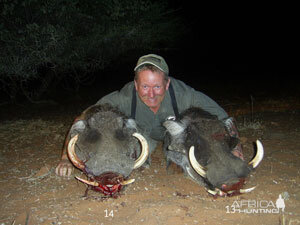 Warthogs 13 and 14 inch