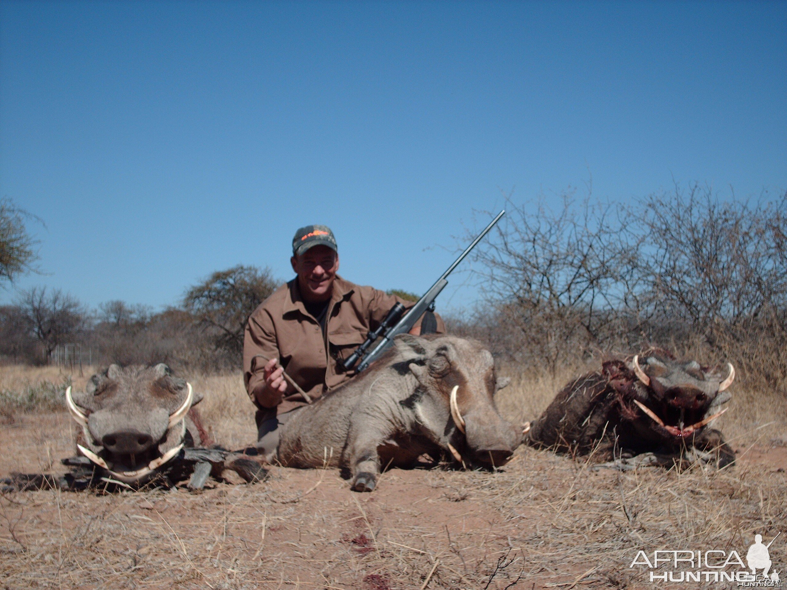 Warthogs Limpopo 2007