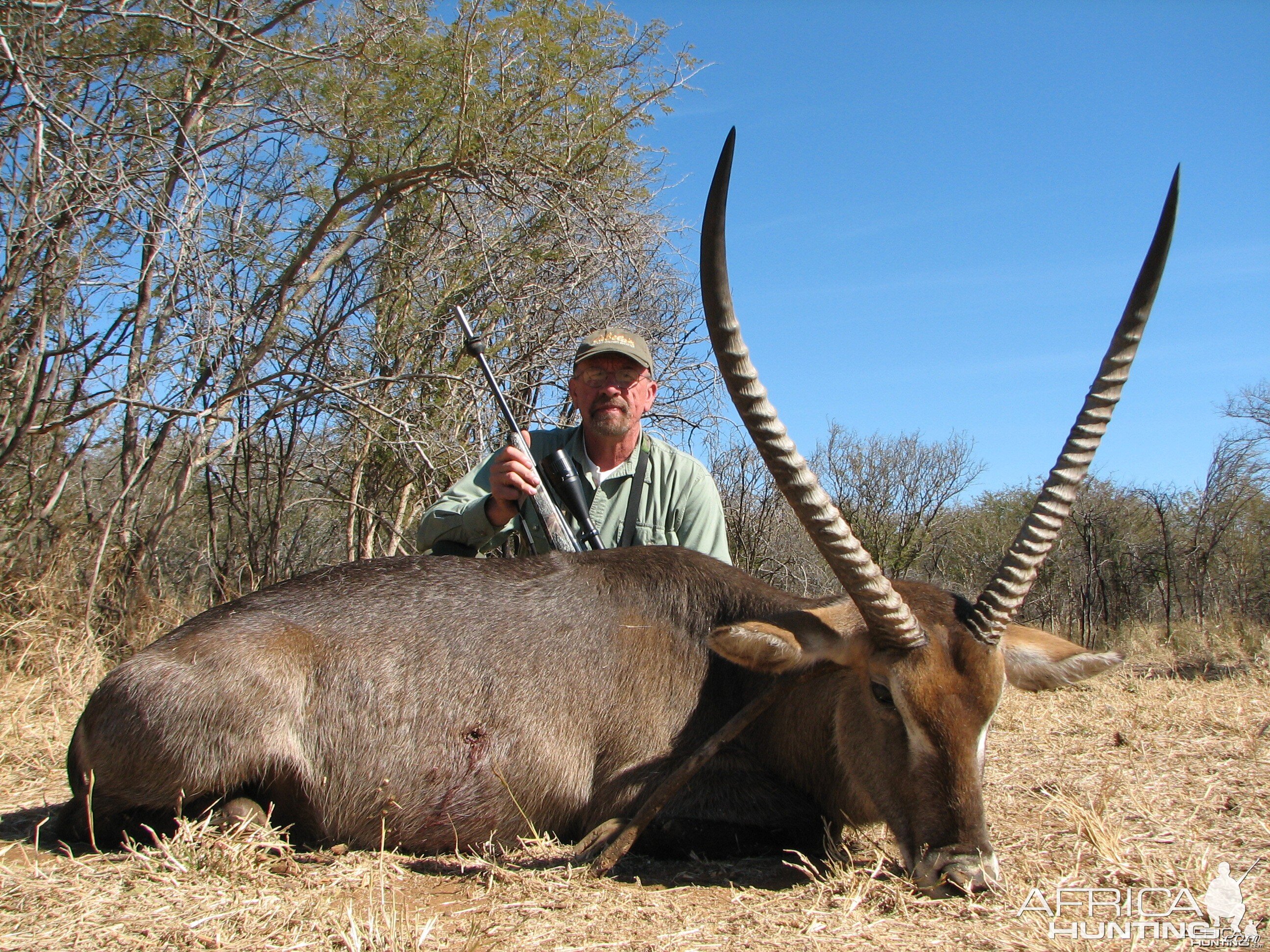 Water Buck Limpopo River area SA