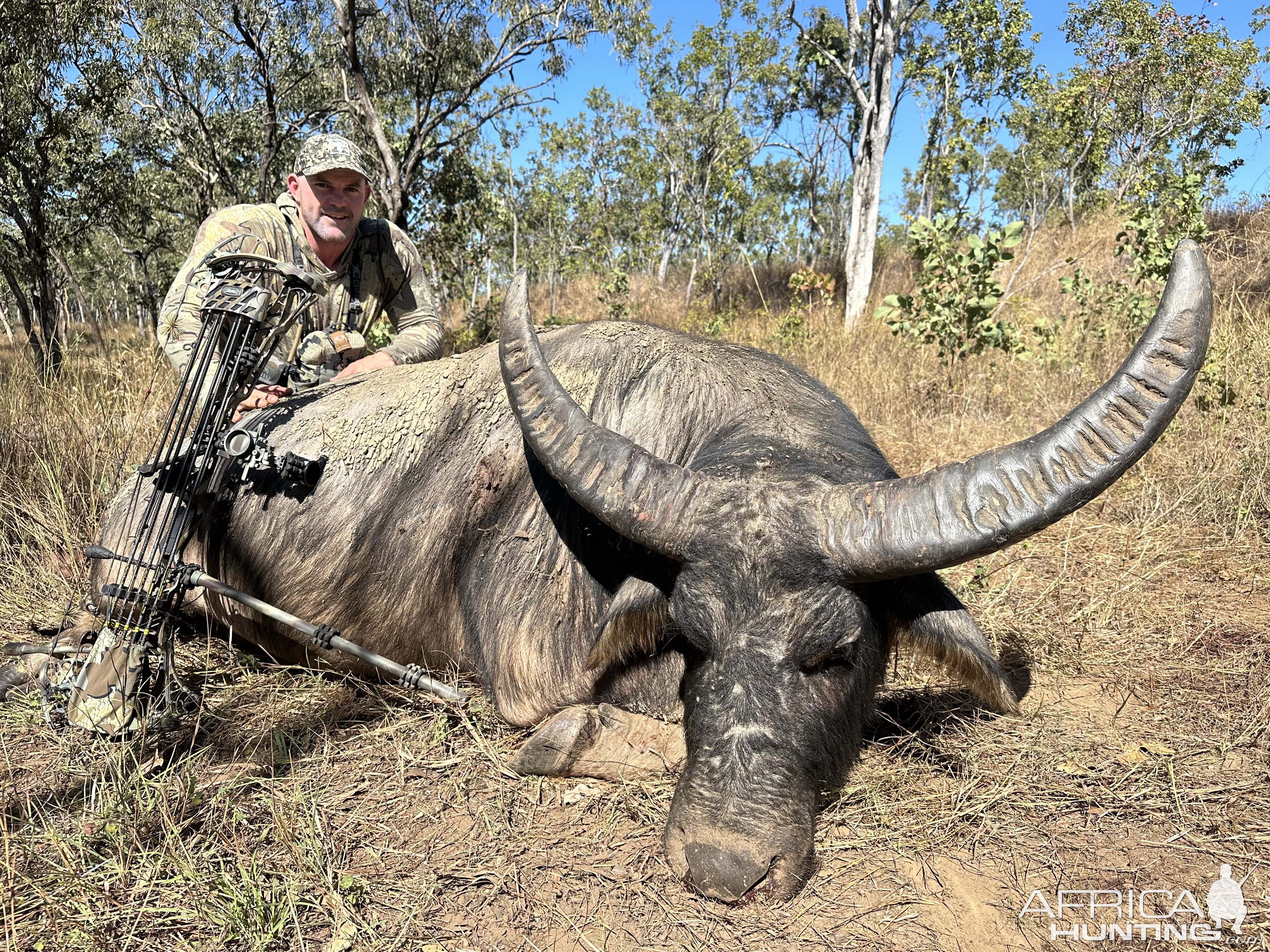 Water Buffalo Bow Hunt Australia