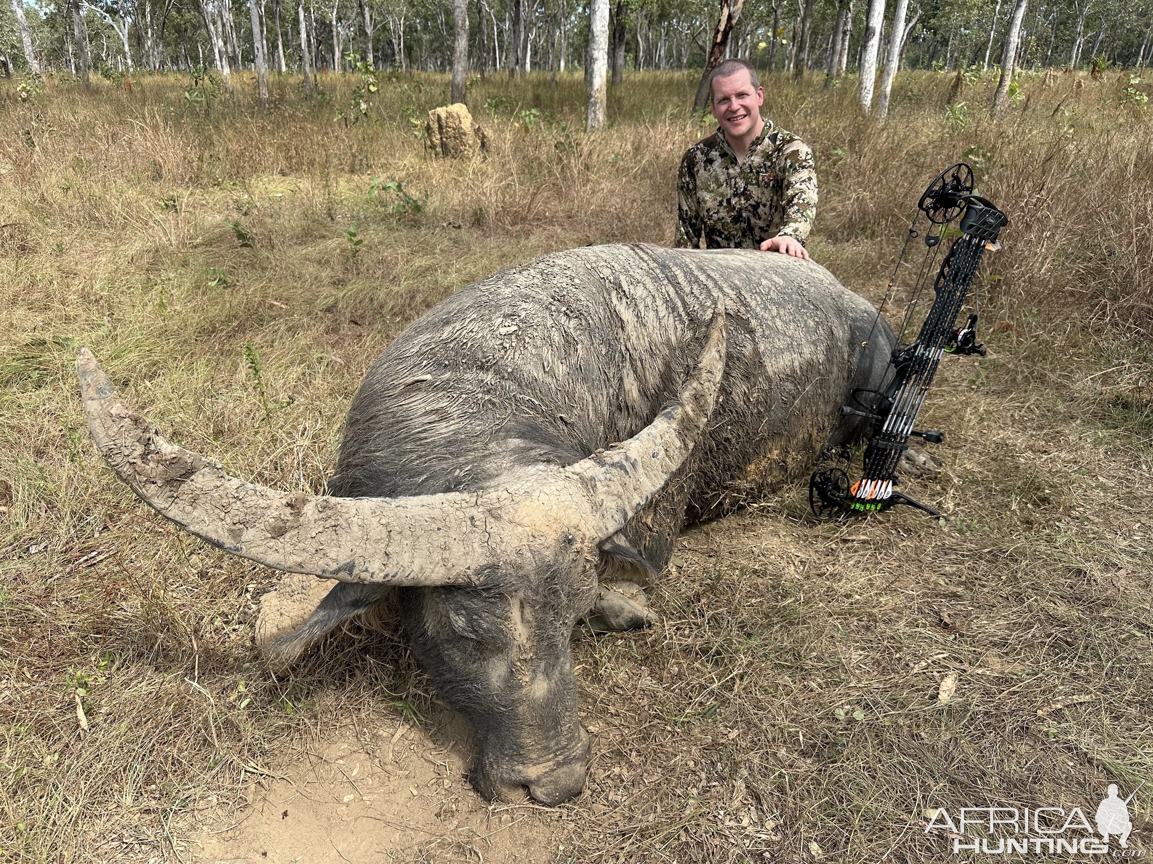 Water Buffalo Bull Hunt Australia