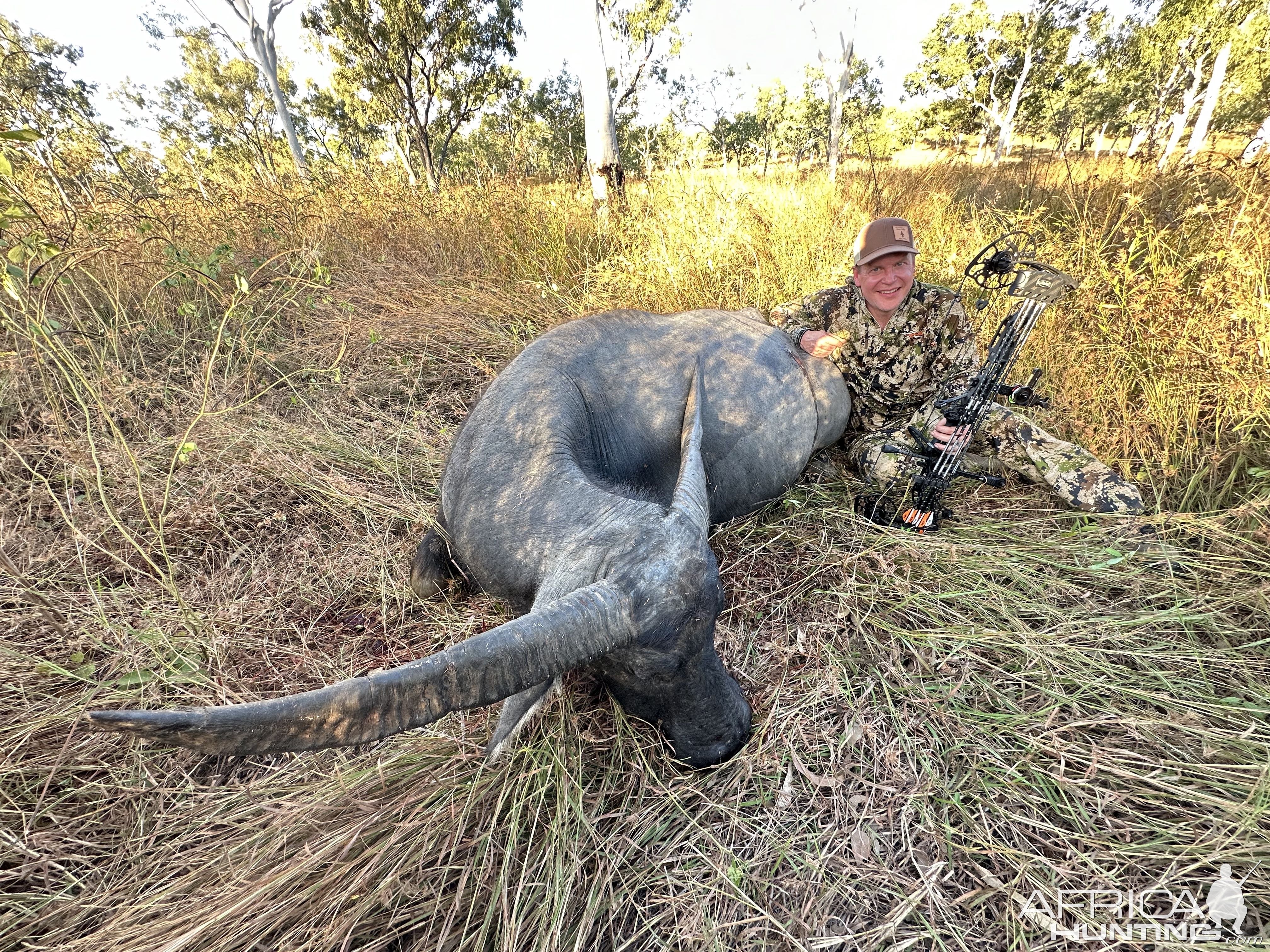 Water Buffalo Cow Hunt Australia