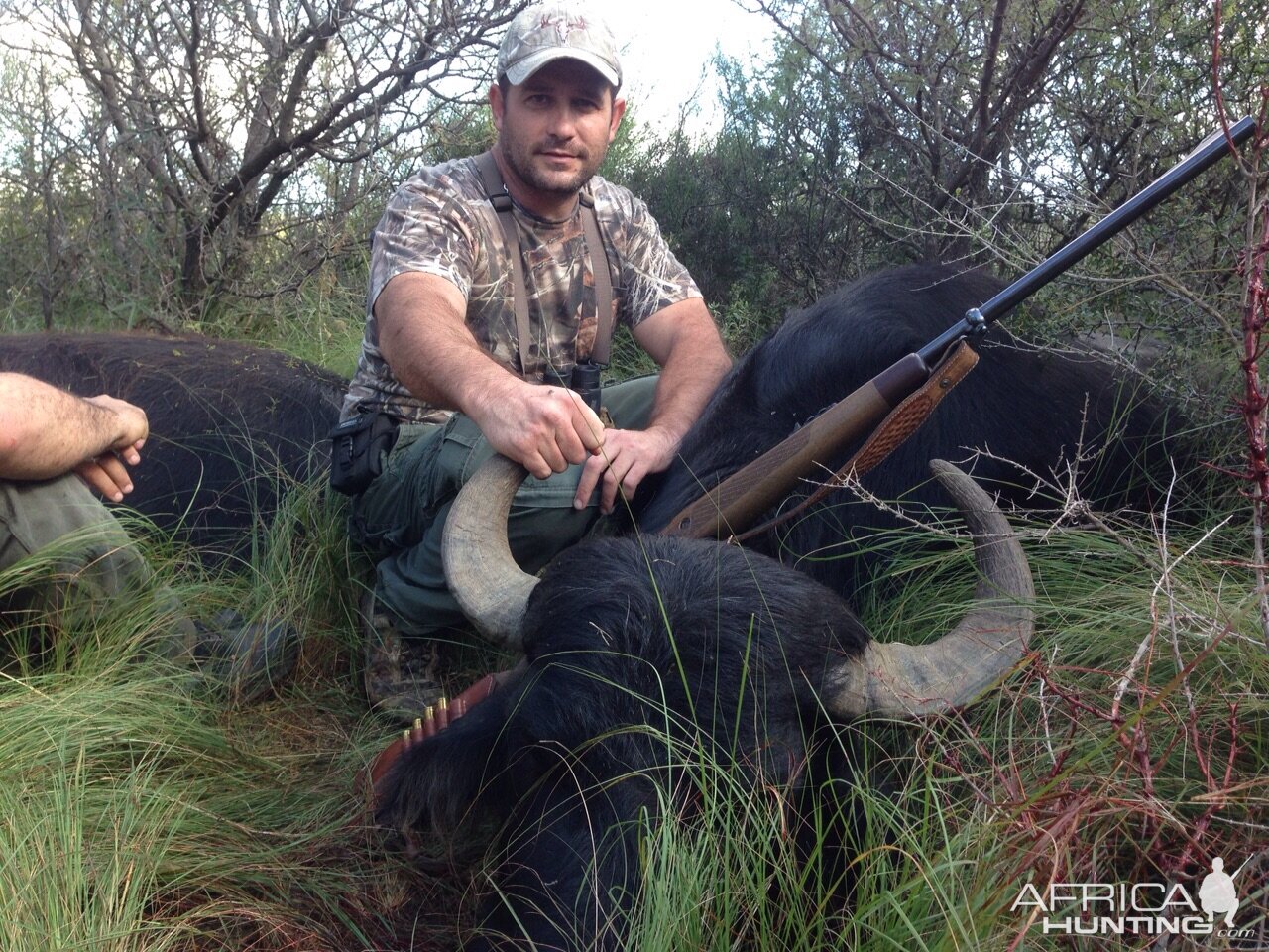 Water Buffalo Hunt Argentia