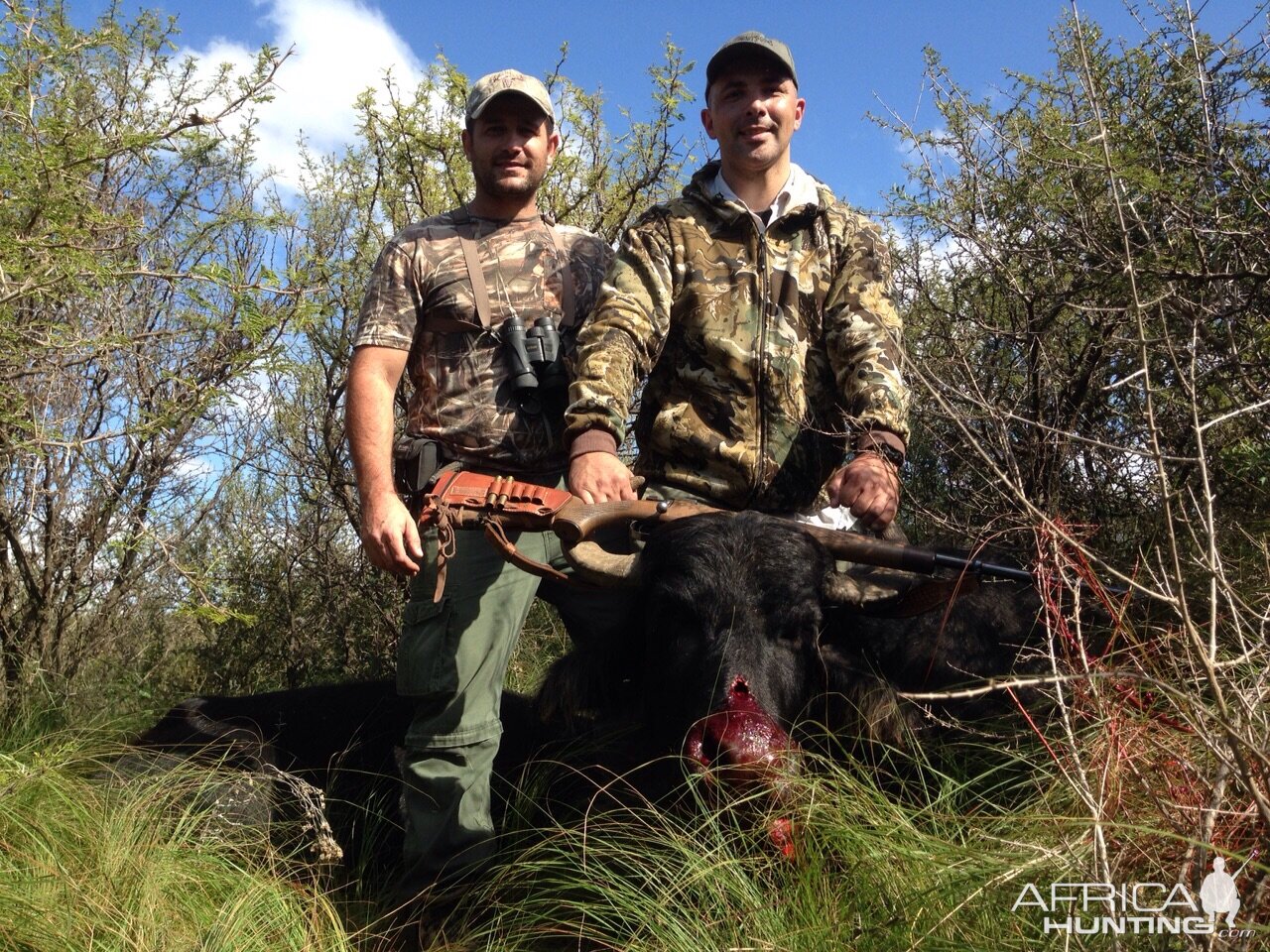 Water Buffalo Hunt Argentia