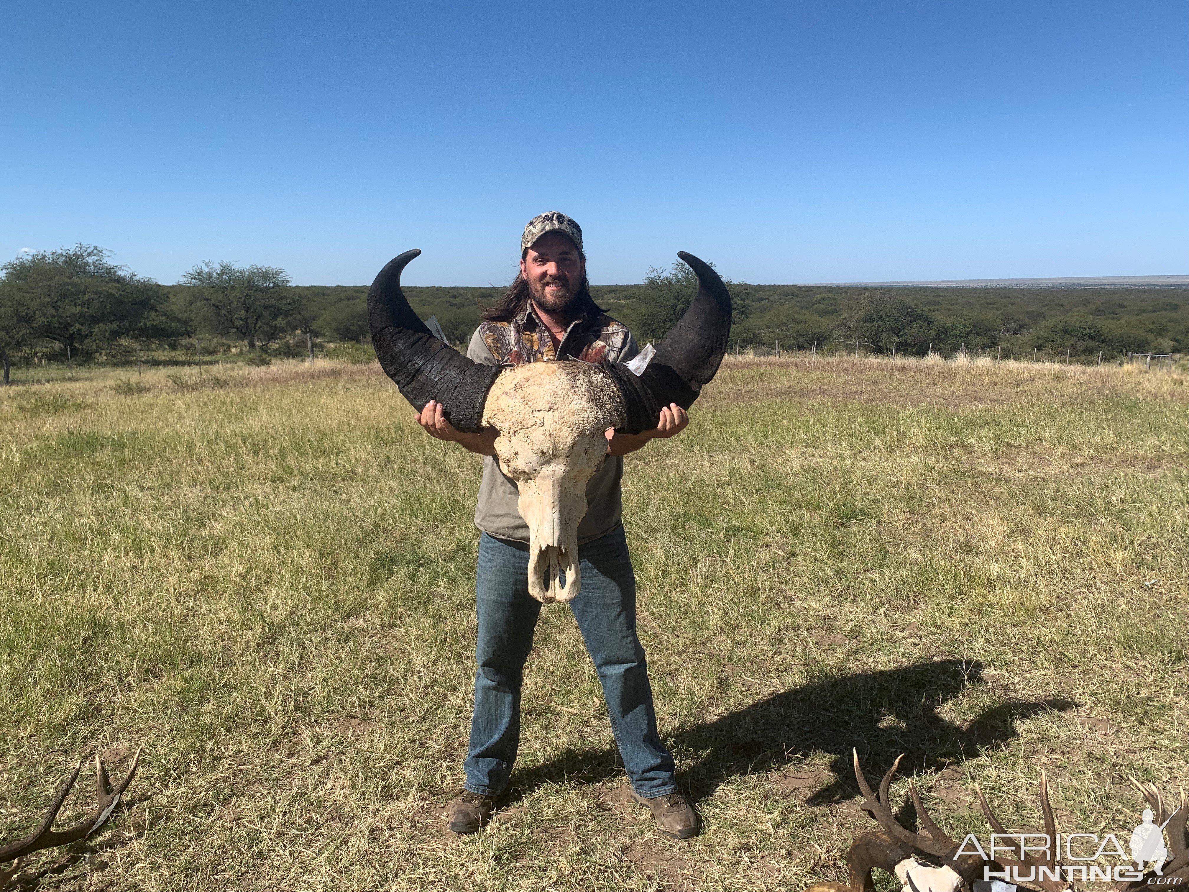 Water Buffalo Hunt Argentina