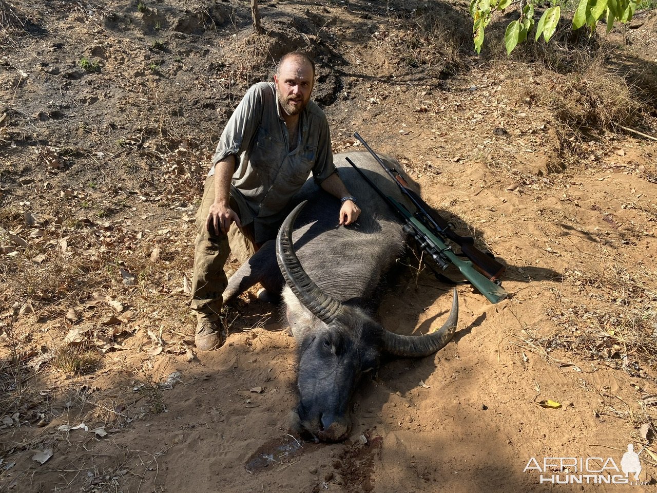 Water Buffalo Hunt Australia