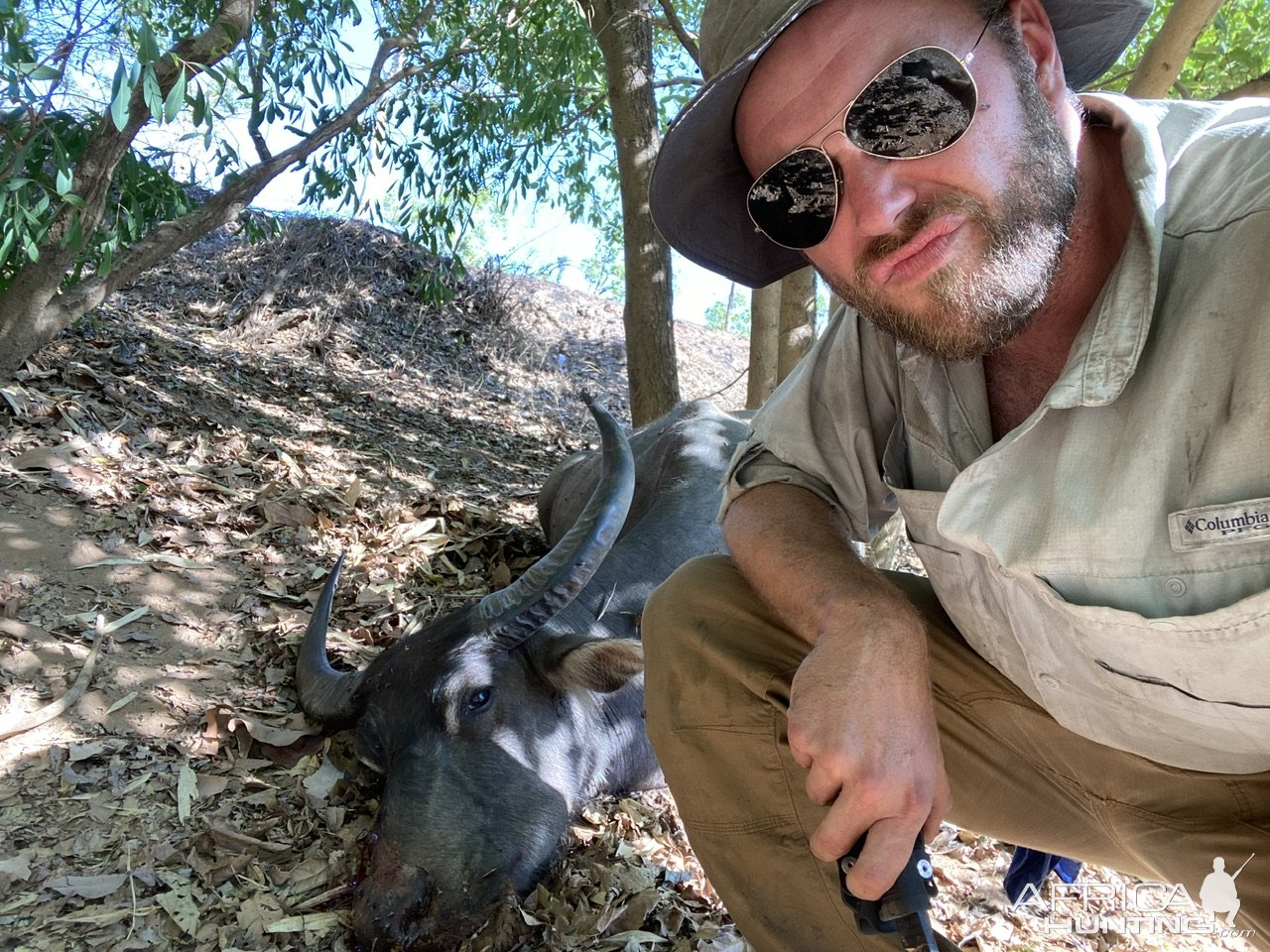 Water Buffalo Hunt Australia