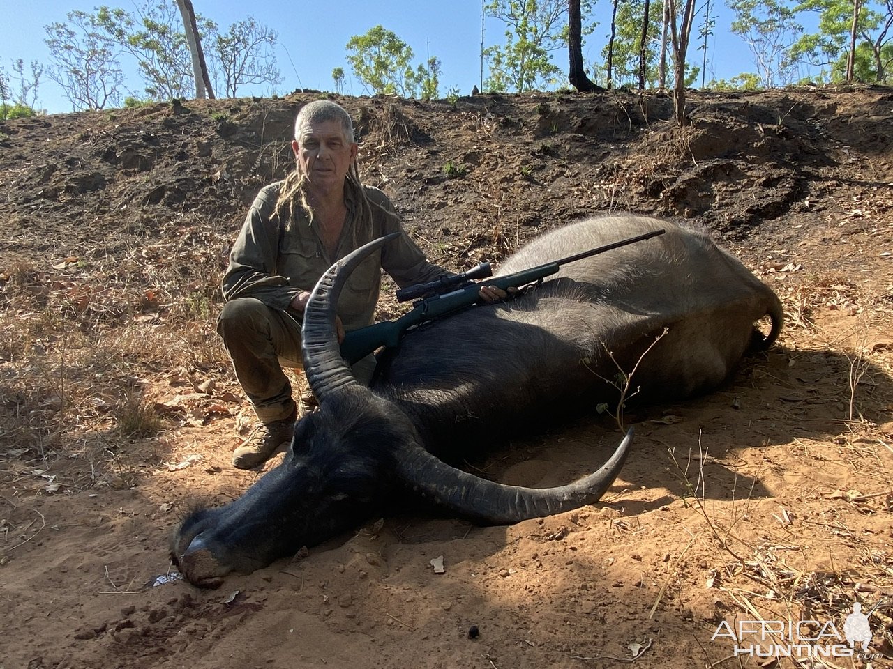 Water Buffalo Hunt Australia