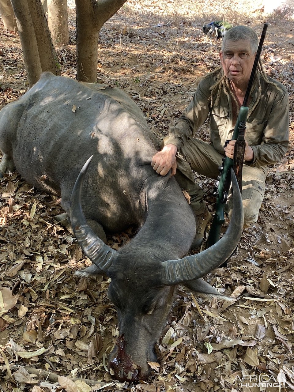 Water Buffalo Hunt Australia