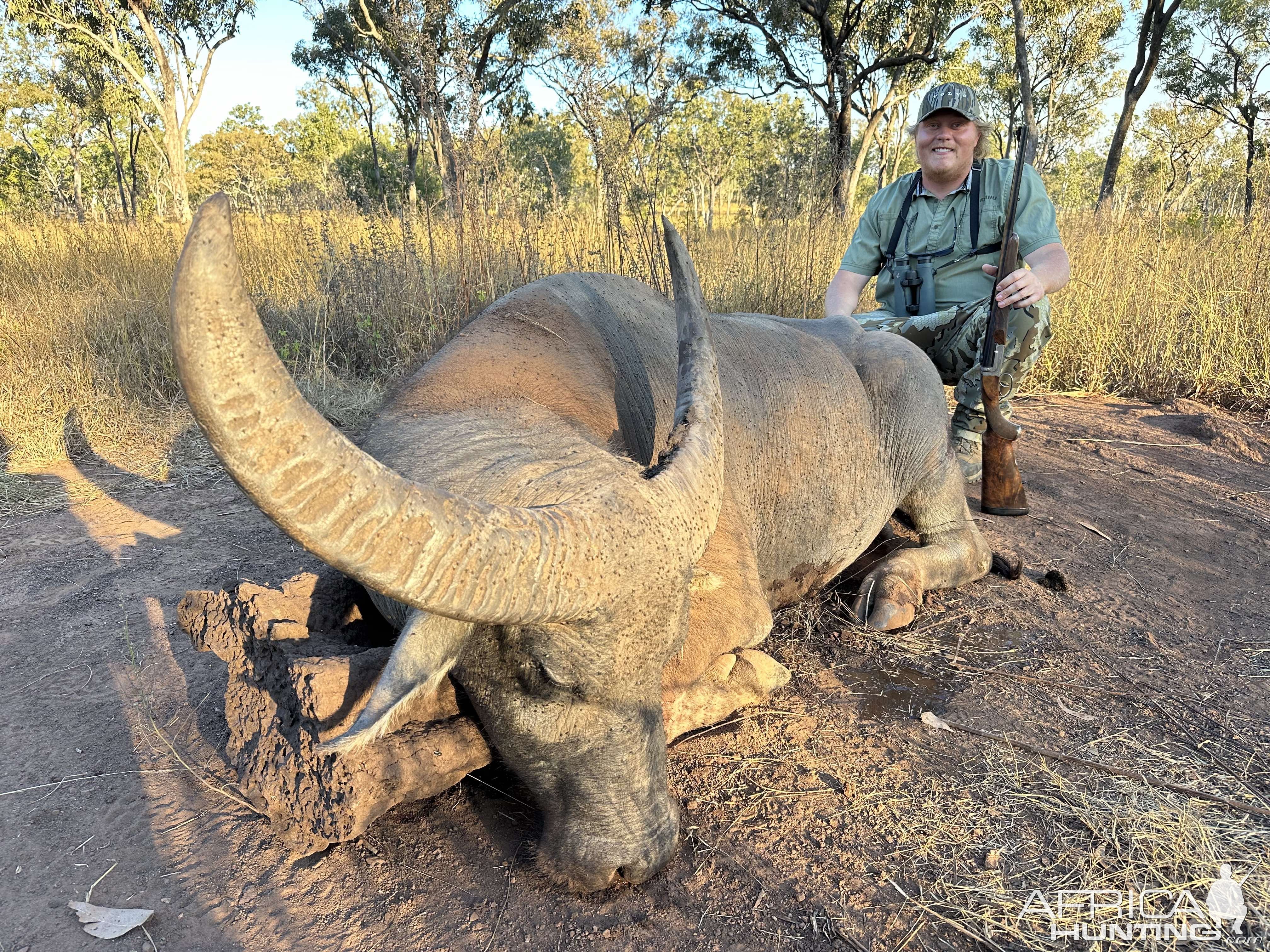 Water Buffalo Hunt Australia