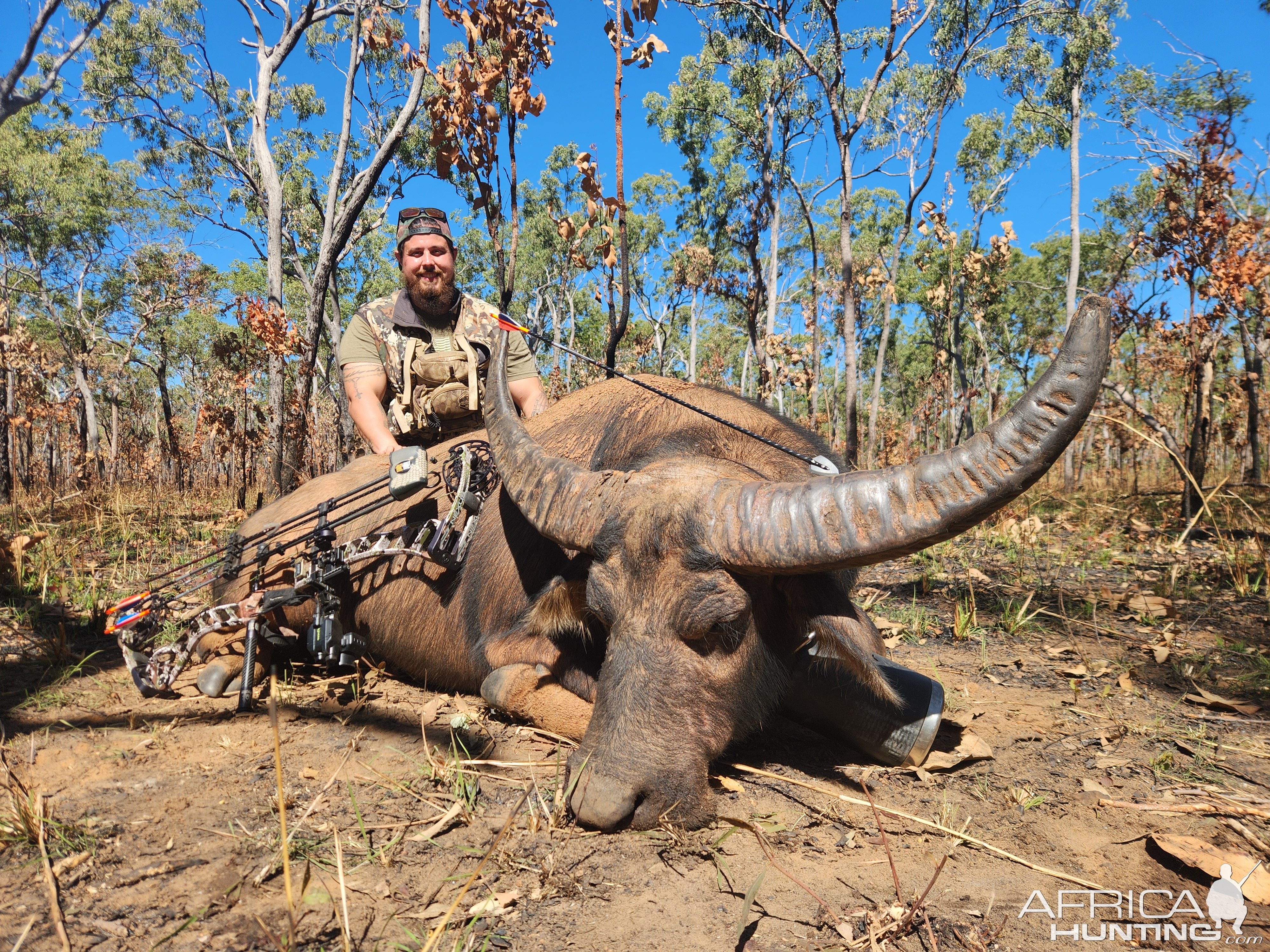 Water Buffalo Hunt Australia