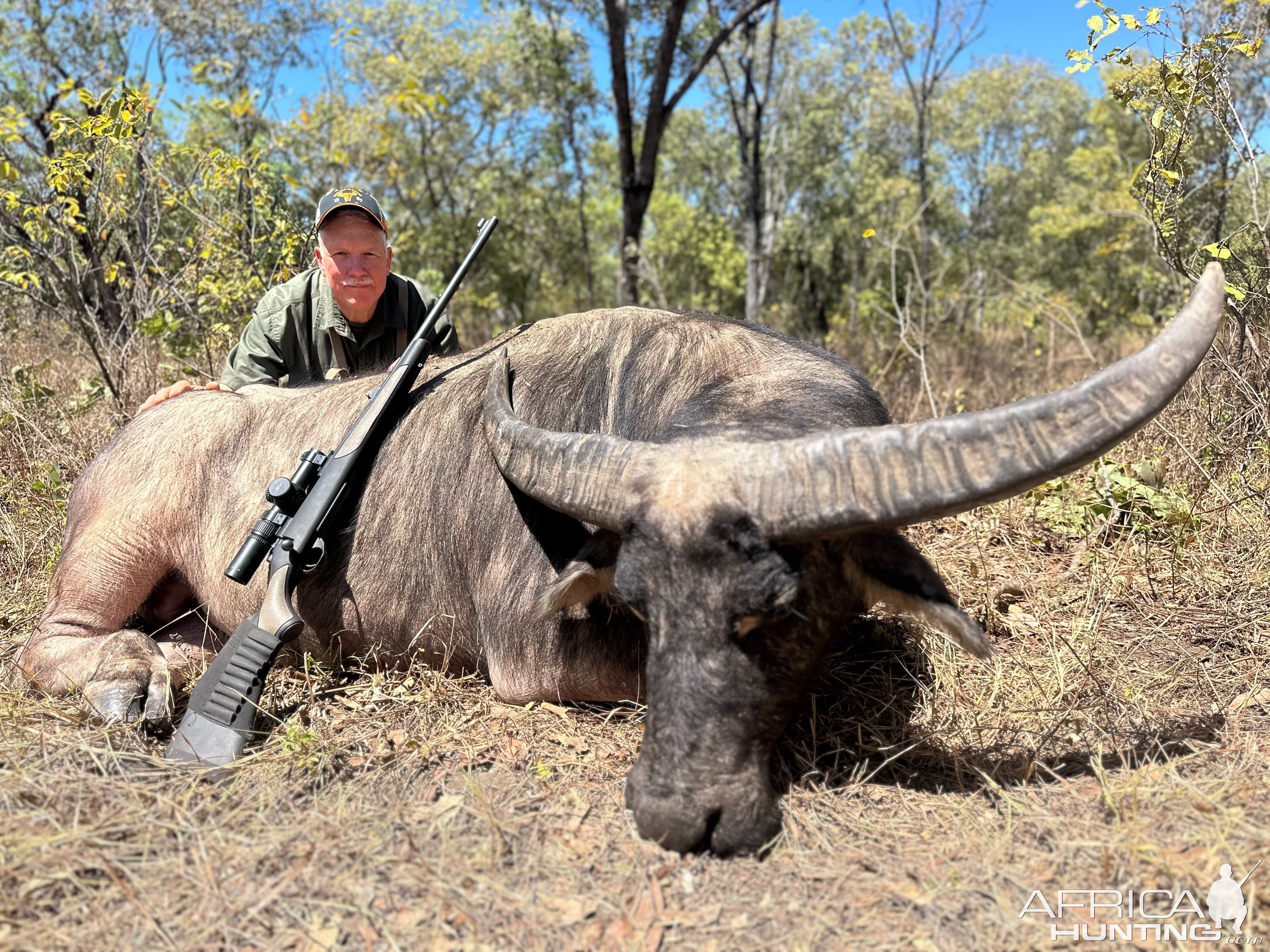 Water Buffalo Hunt Hunt Australia