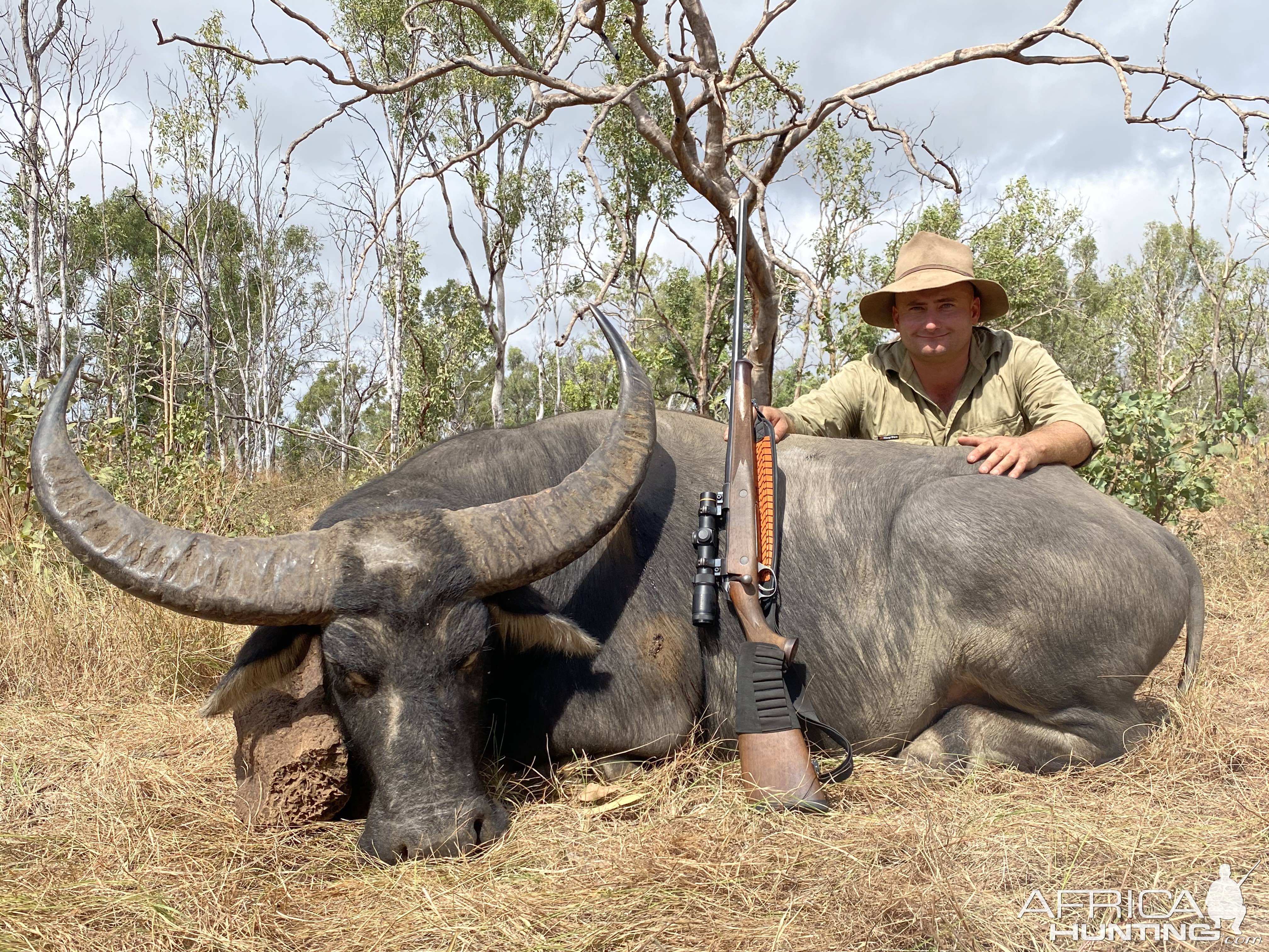 Water Buffalo Hunt Hunt Australia