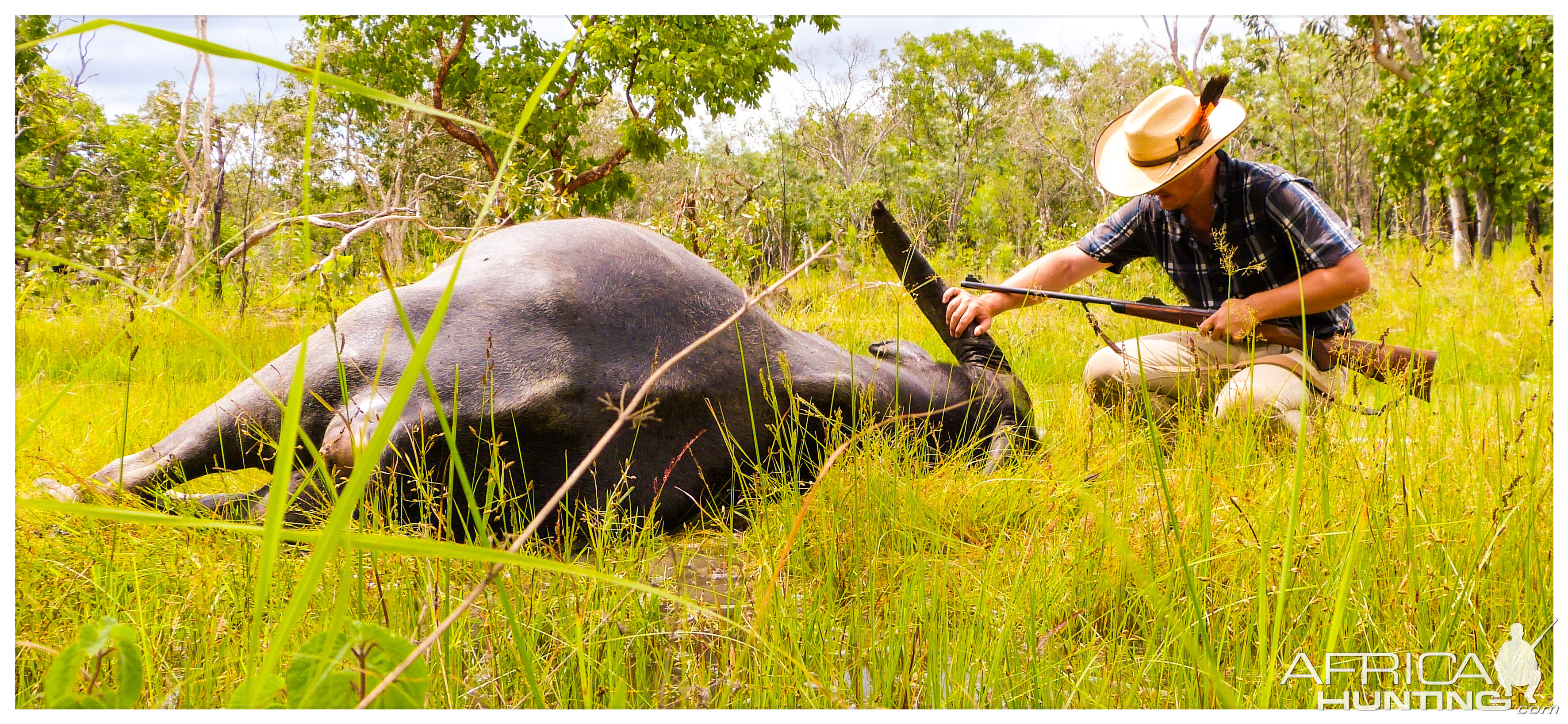 Water Buffalo Hunt in Australia