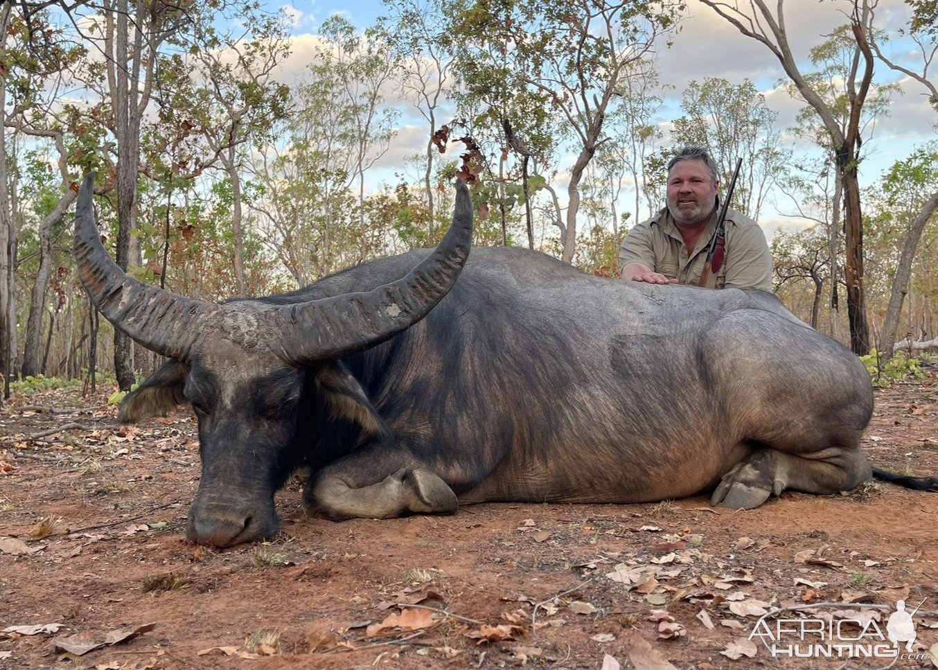 Water Buffalo Hunt Northern Territory Australia