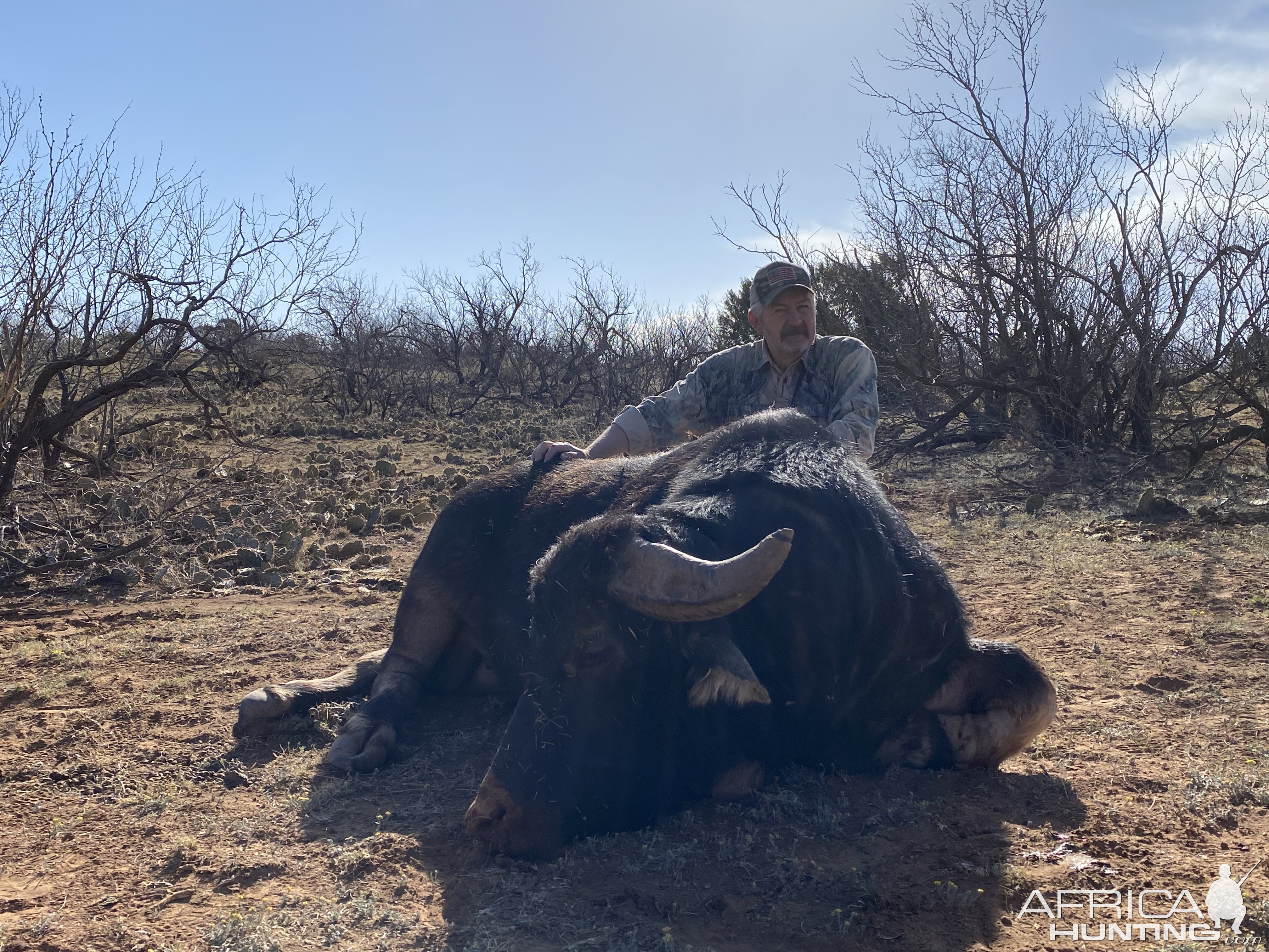 Water Buffalo Hunt Texas