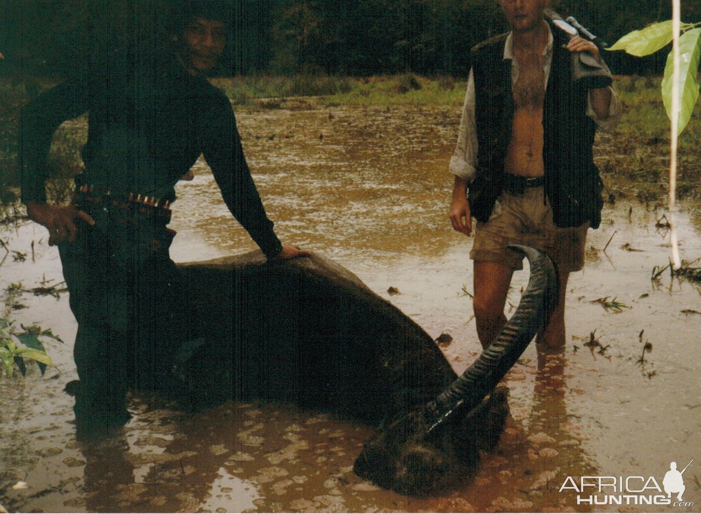 Water Buffalo Hunt