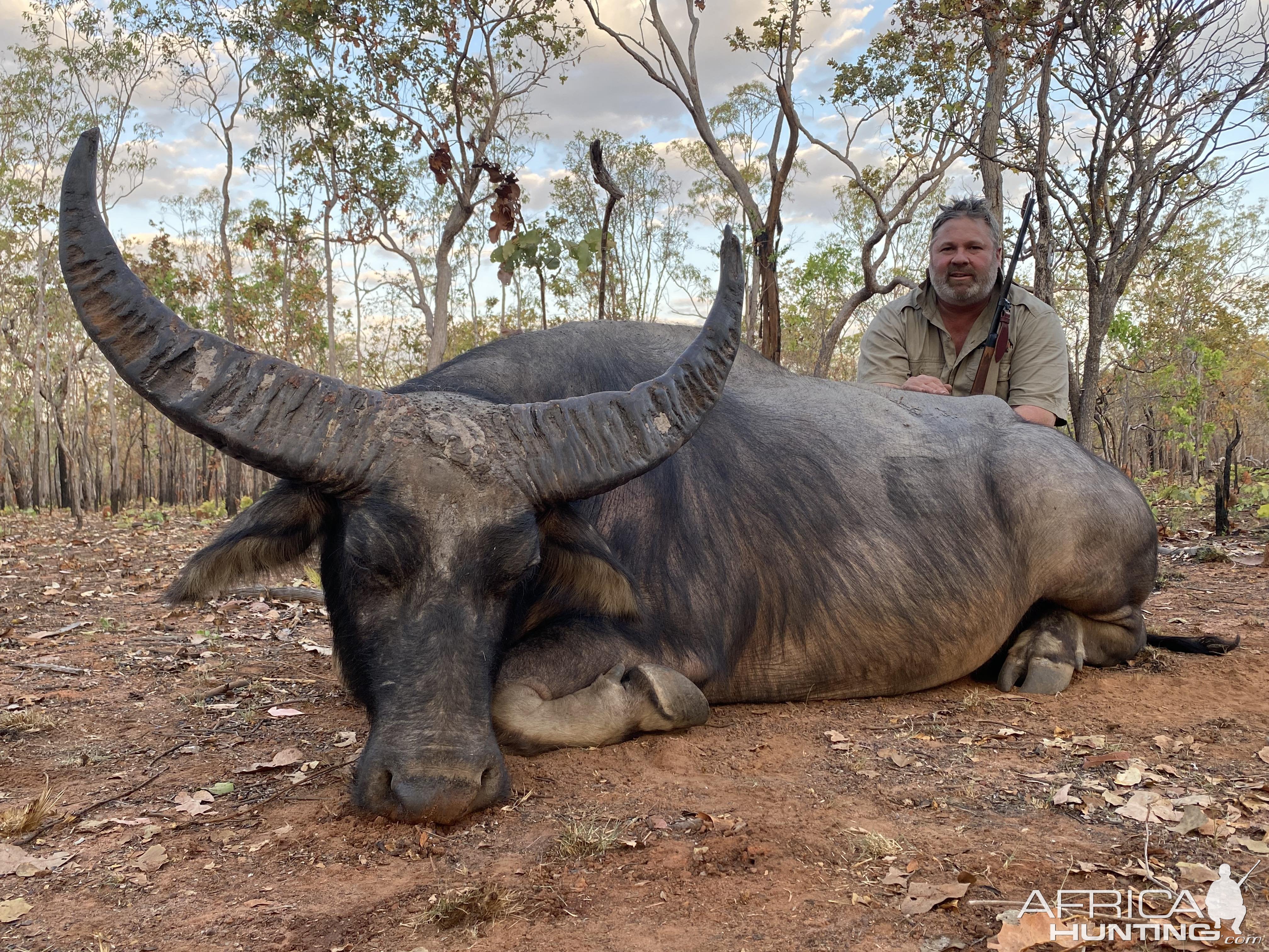 Water Buffalo Hunting Australia