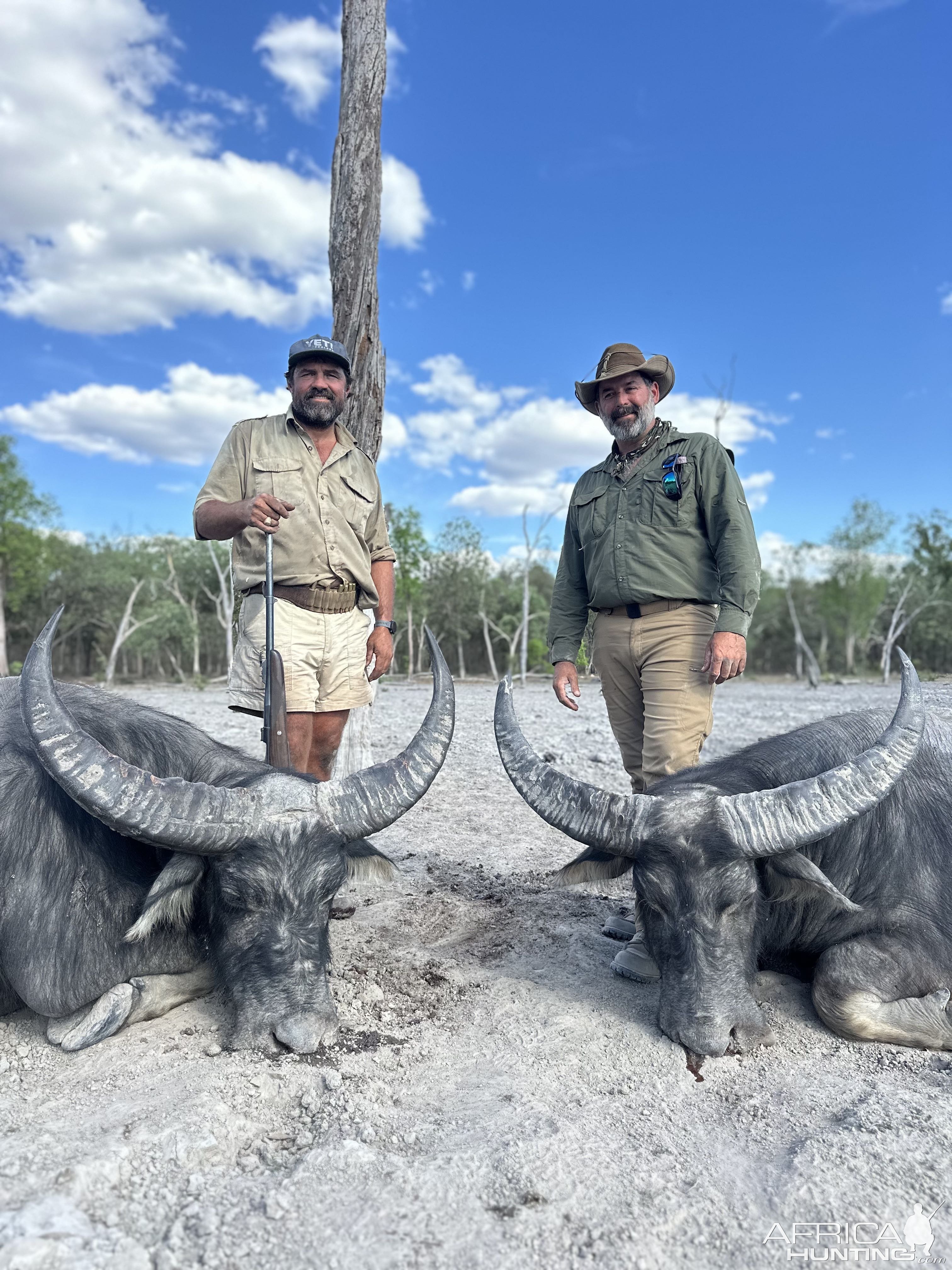 Water Buffalo Hunting Australia