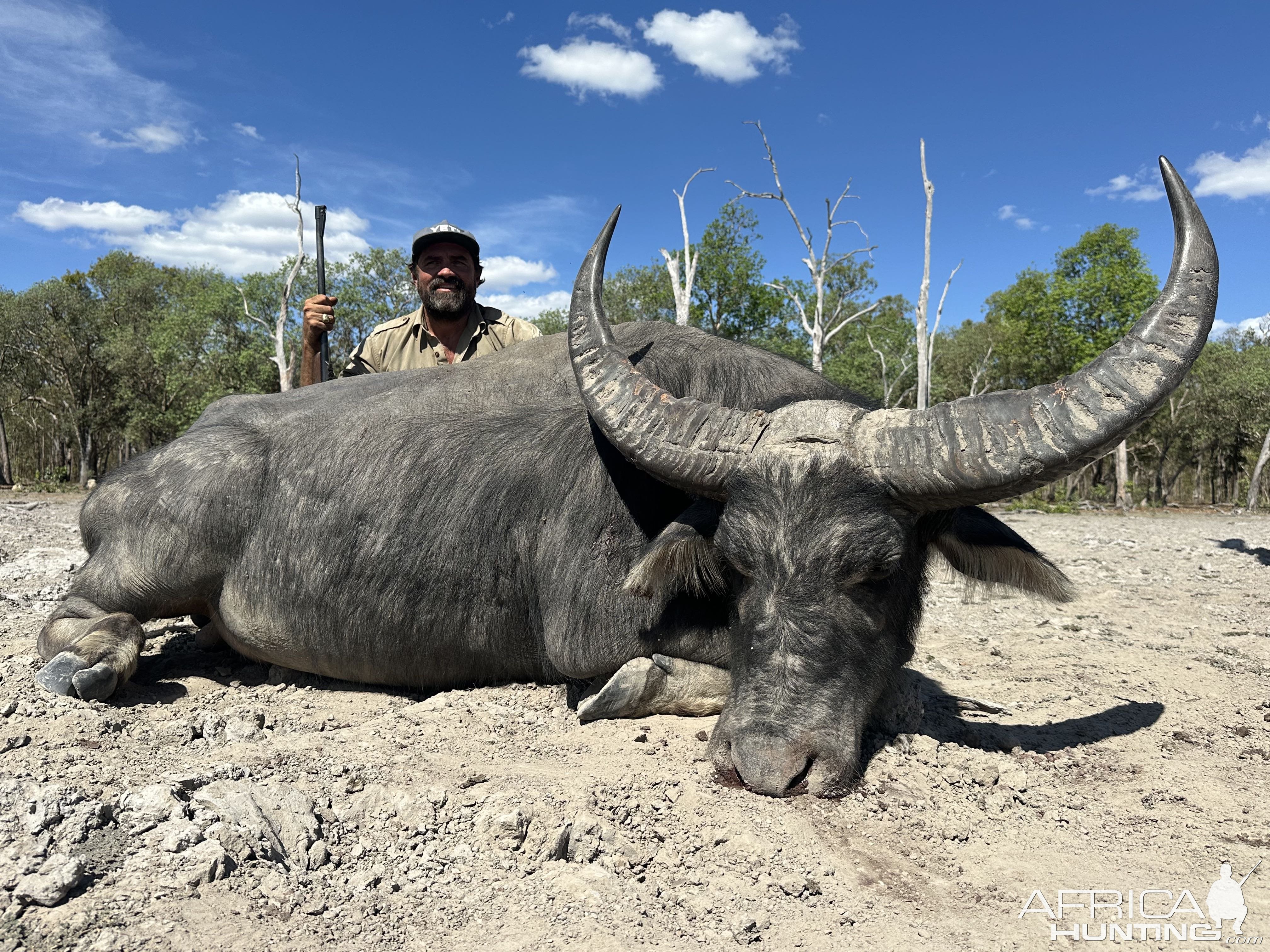 Water Buffalo Hunting Australia