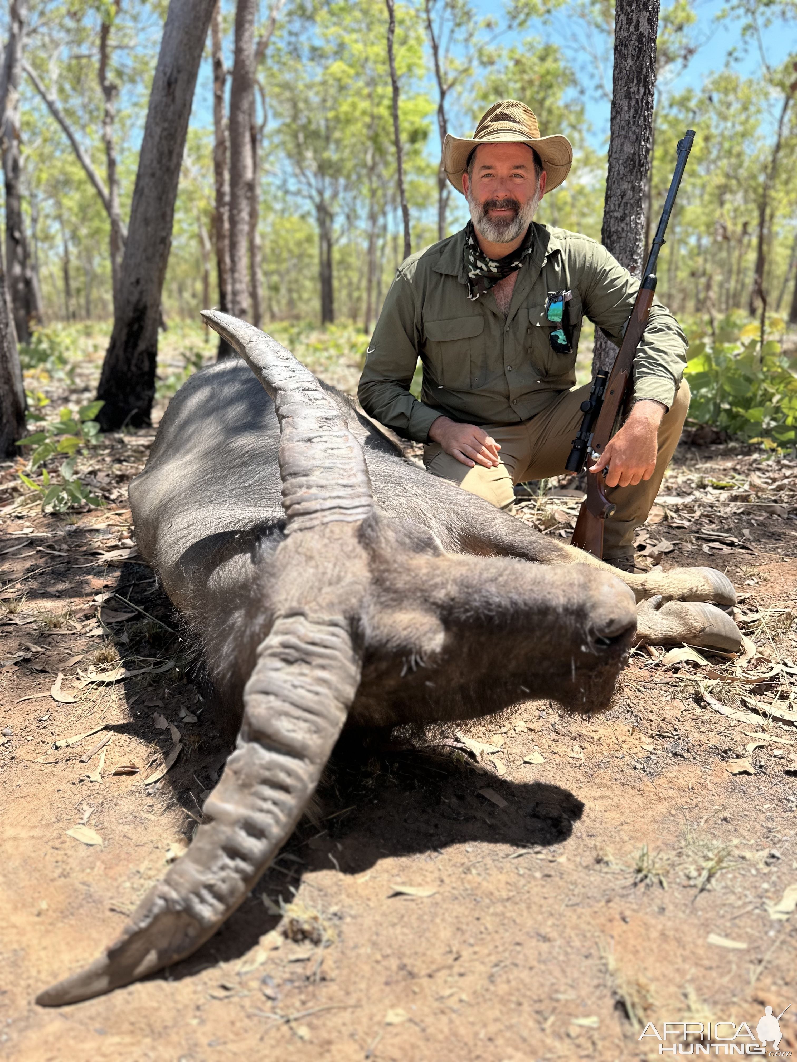 Water Buffalo Hunting Australia