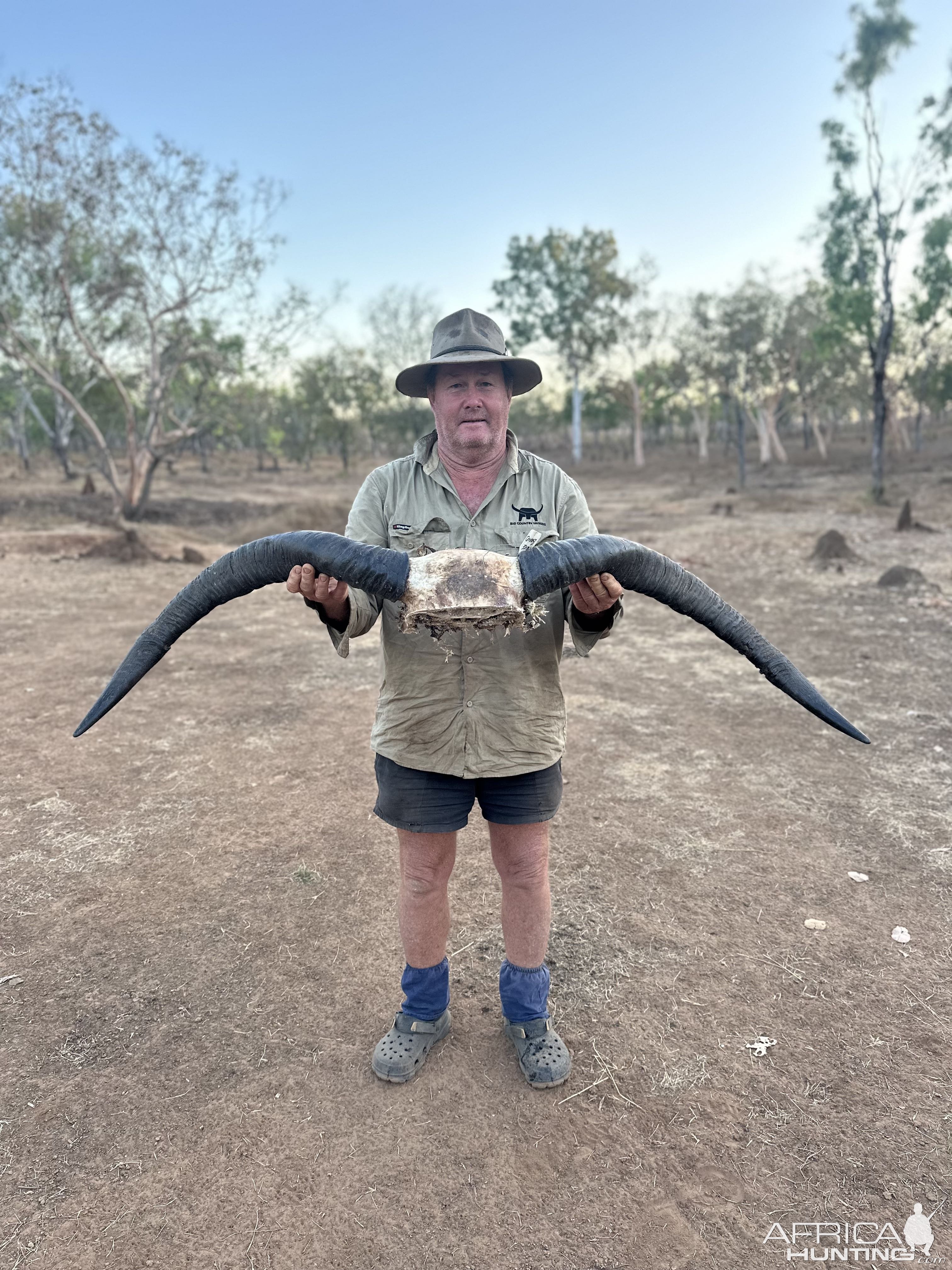 Water Buffalo Hunting Australia