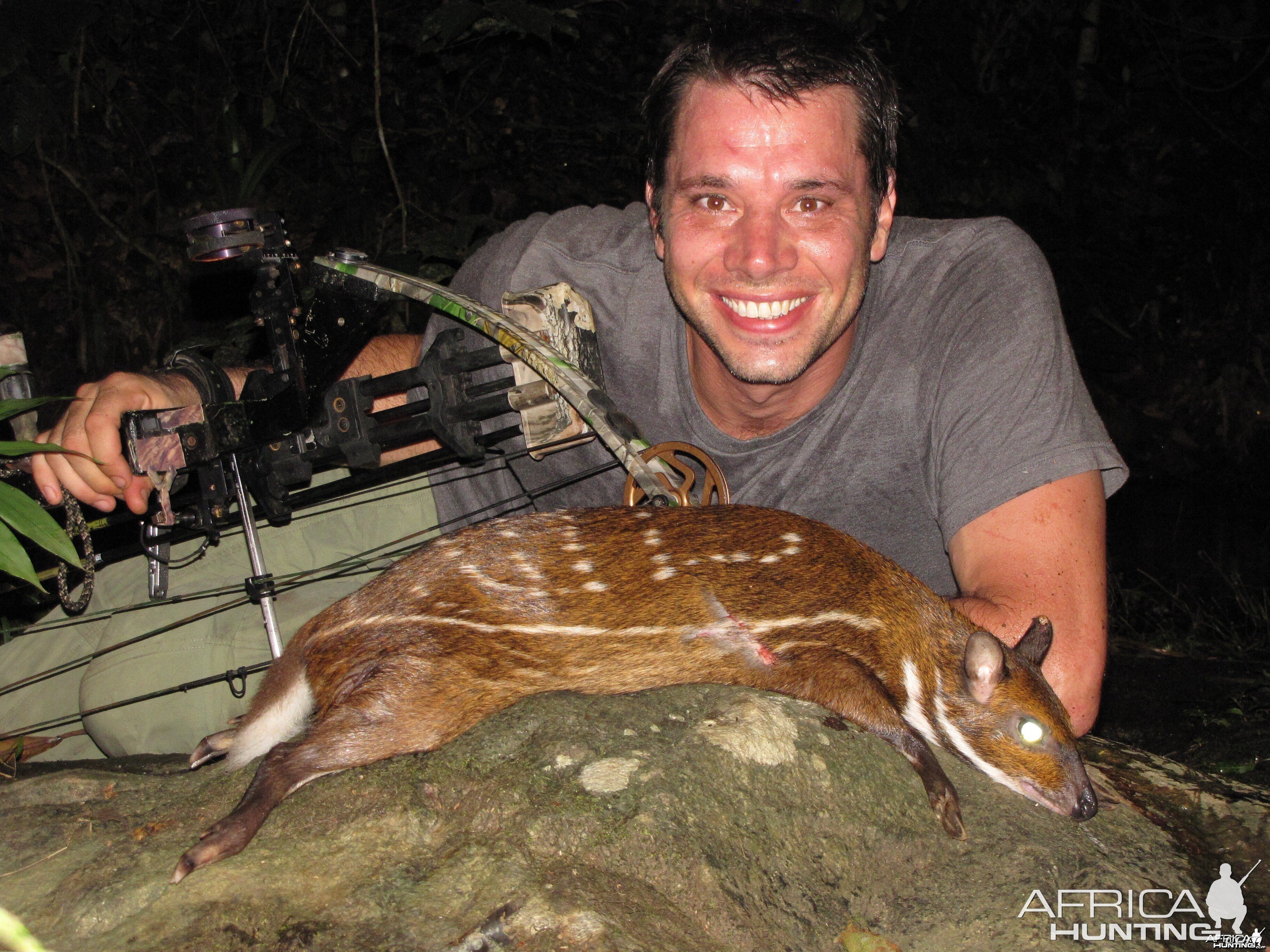 Water Chevrotain taken with a bow