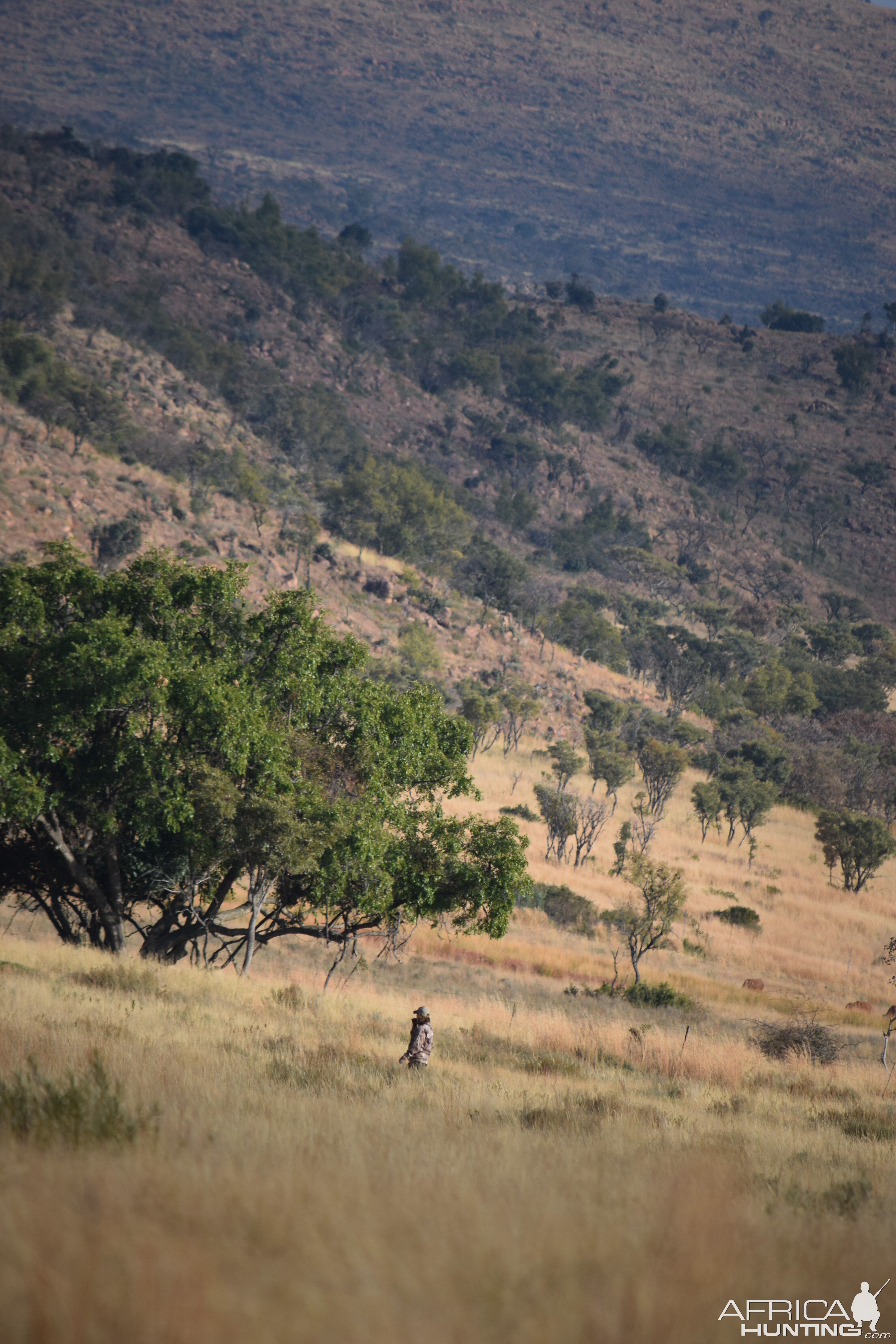 Waterberg Mountains, RSA