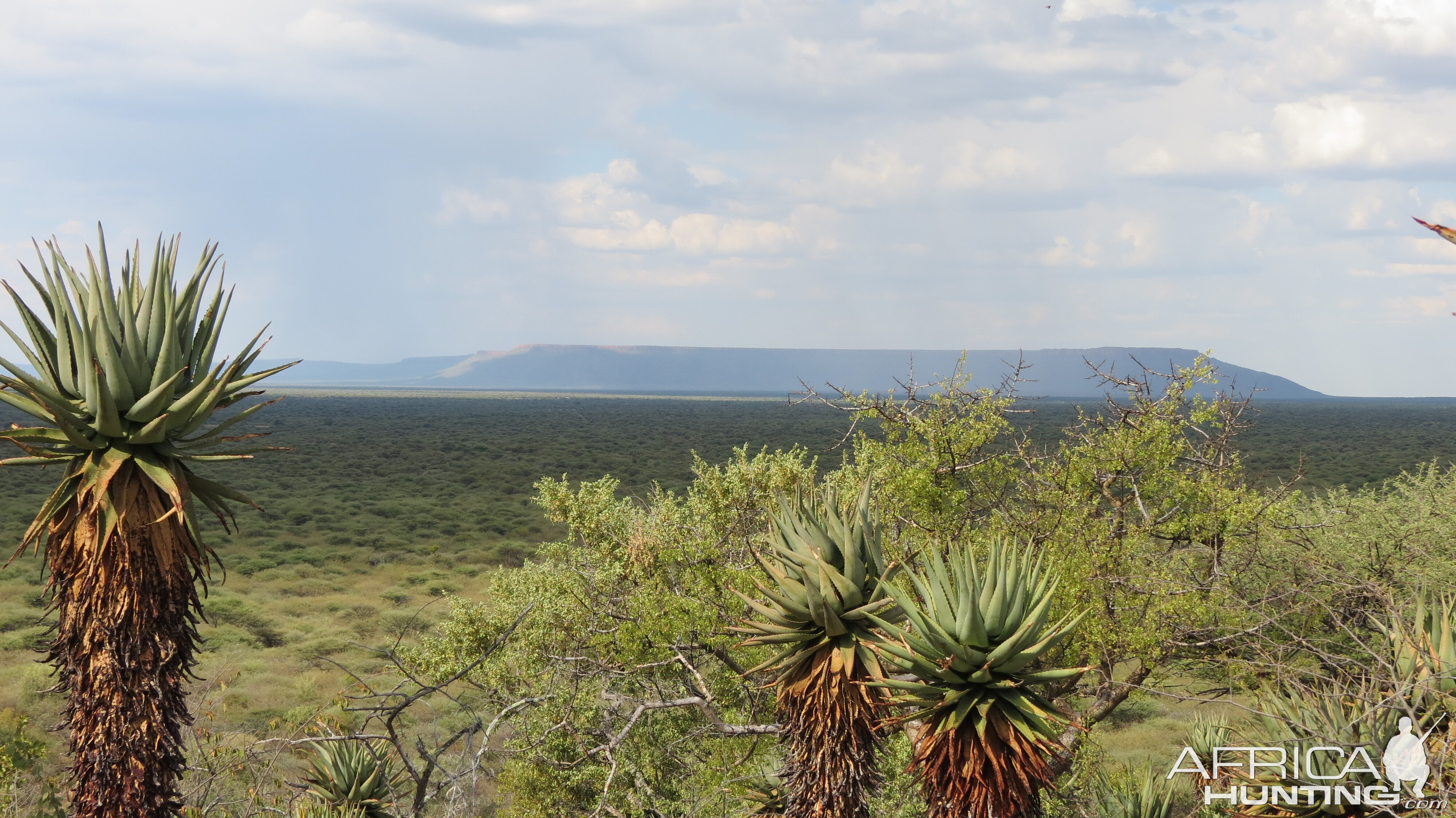 Waterberg Plateau Namibia