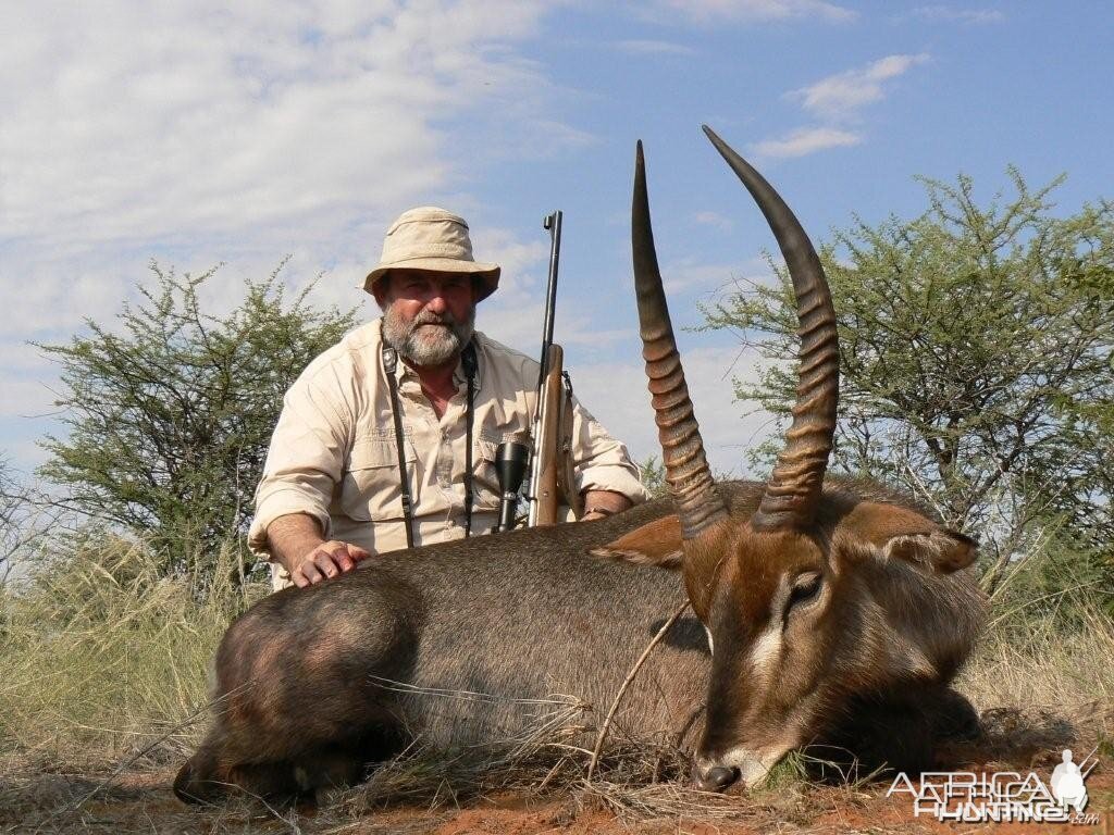 Waterbok