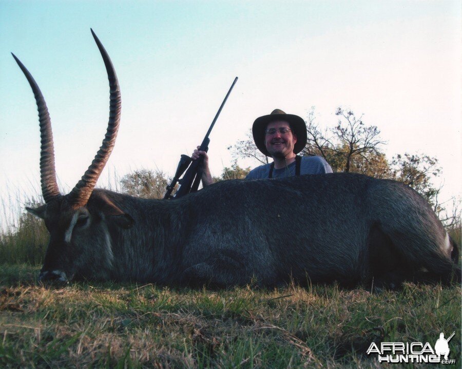 Waterbuck (28 3/4 inches long) Mhimbi Safari