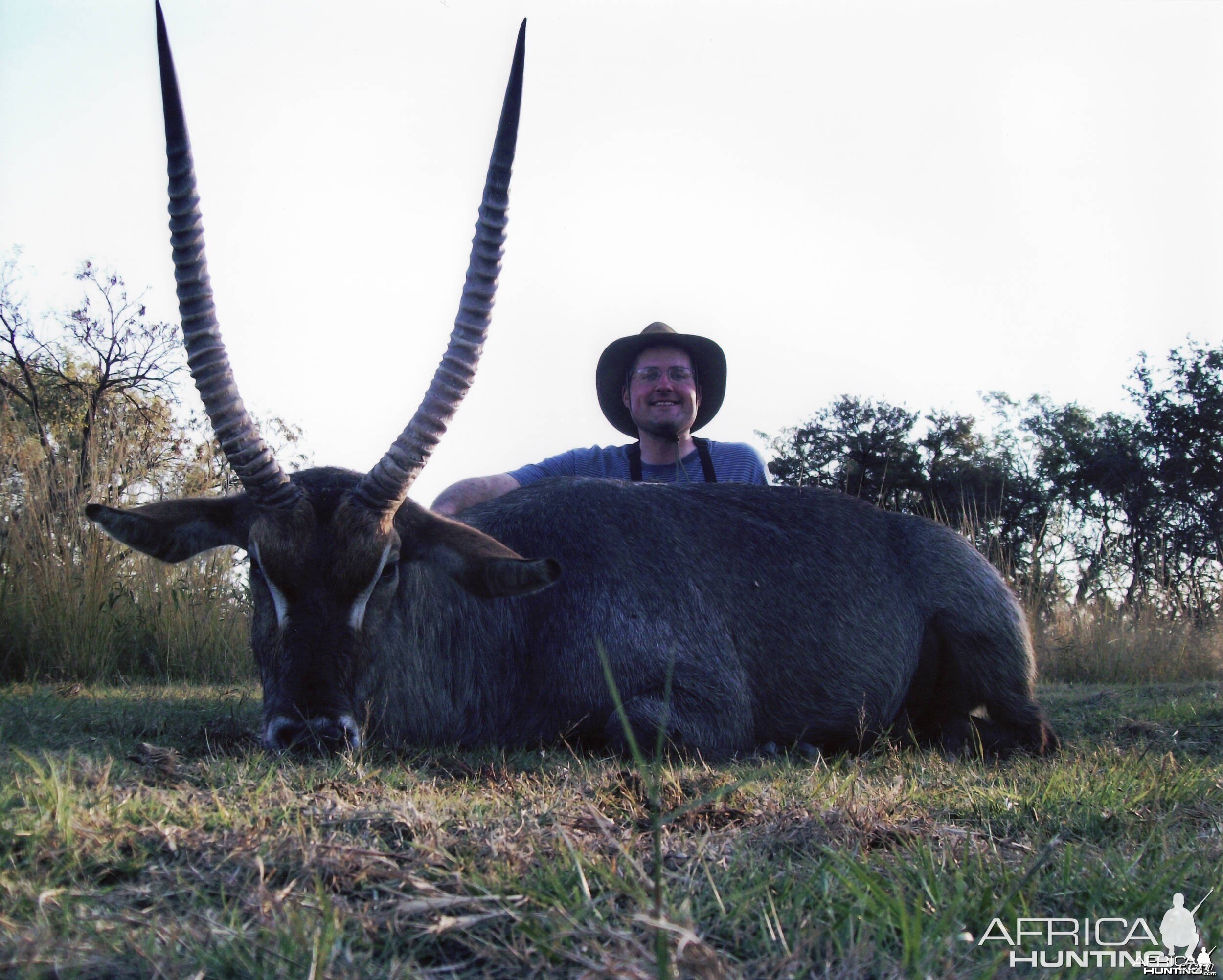 Waterbuck (28 3/4 inches long) Mhimbi Safari