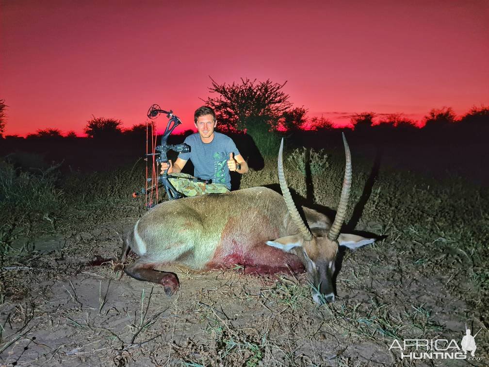 Waterbuck Bow Hunting Namibia