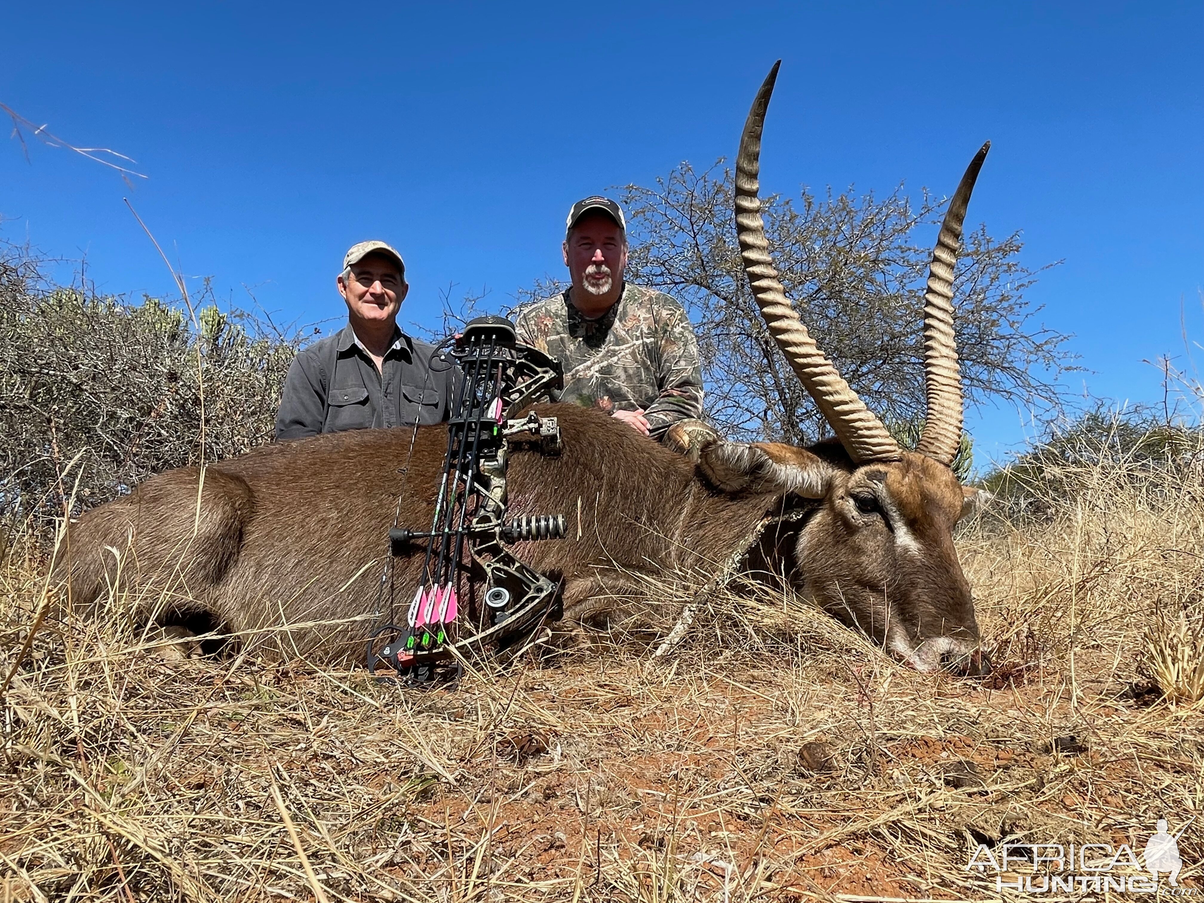 Waterbuck Bow Hunting South Africa