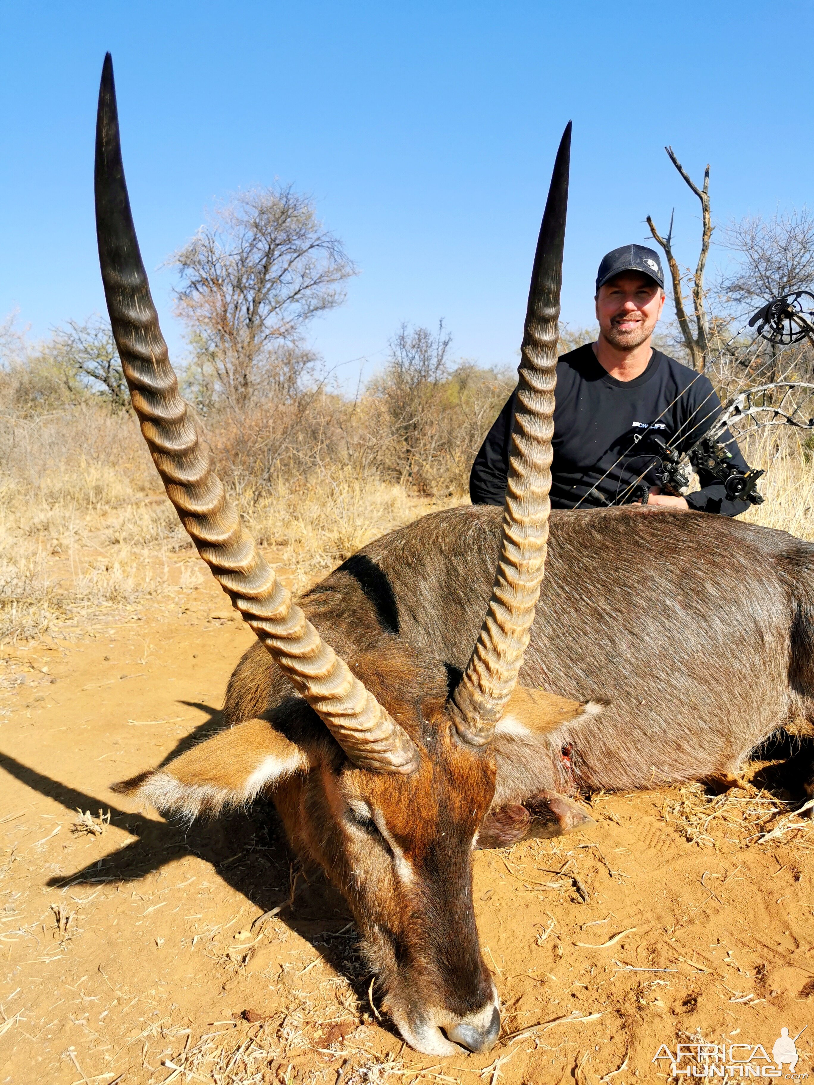 Waterbuck Bow Hunting South Africa