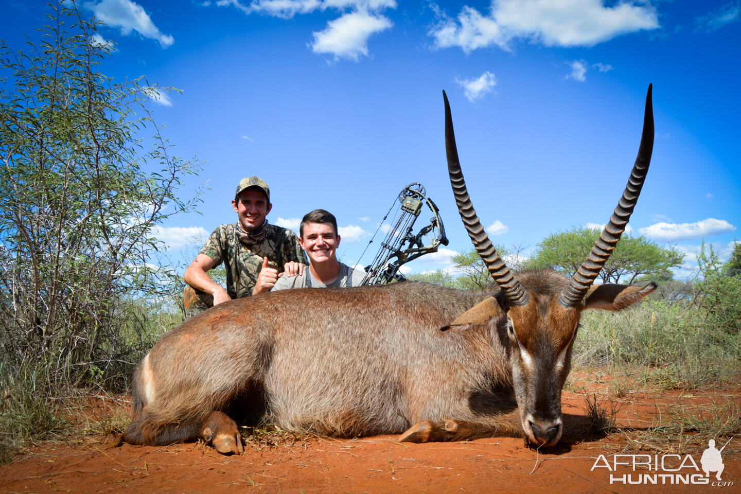 Waterbuck Bow Hunting South Africa