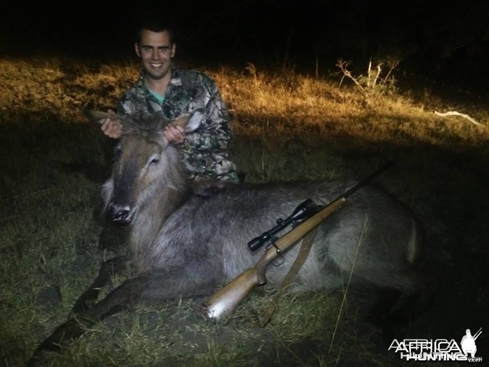 Waterbuck COW