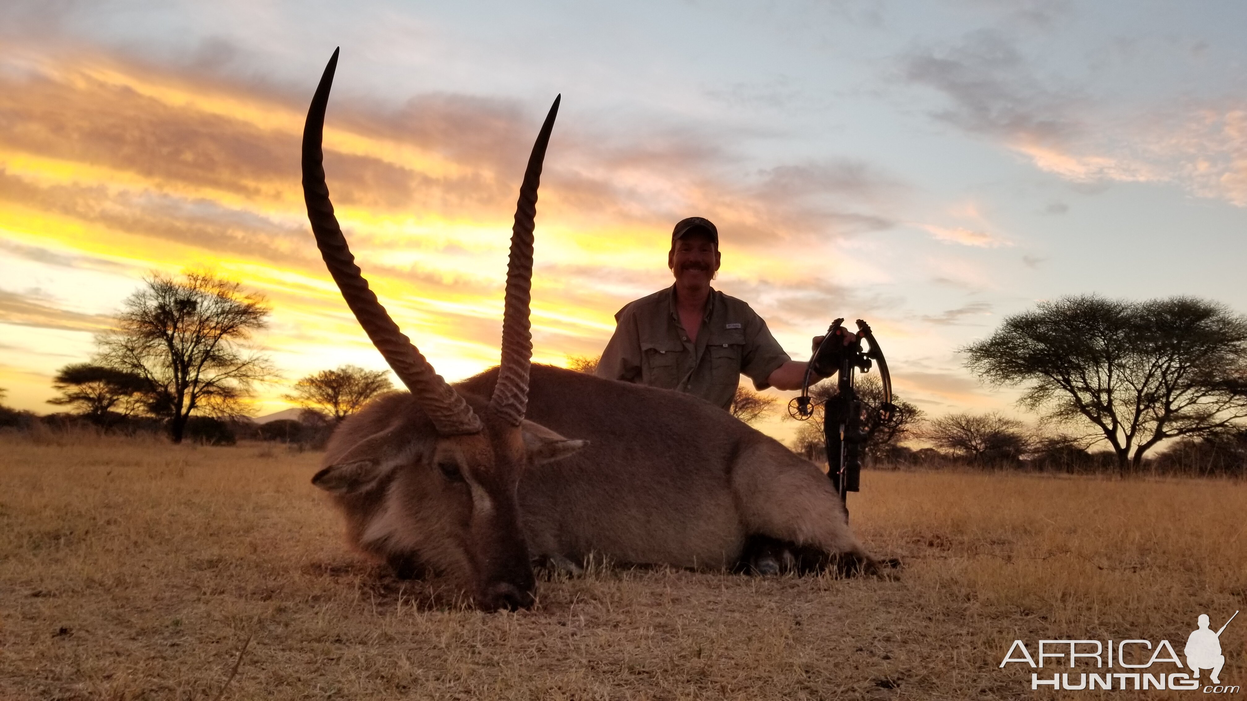 Waterbuck Crossbow