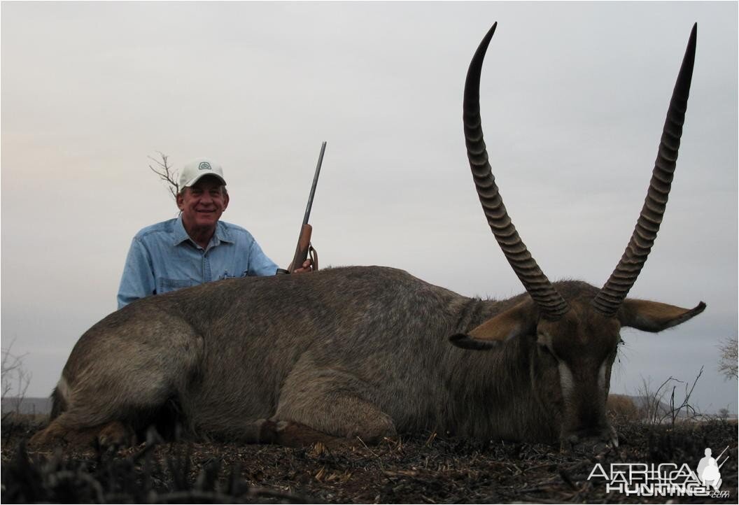 Waterbuck from Mozambique