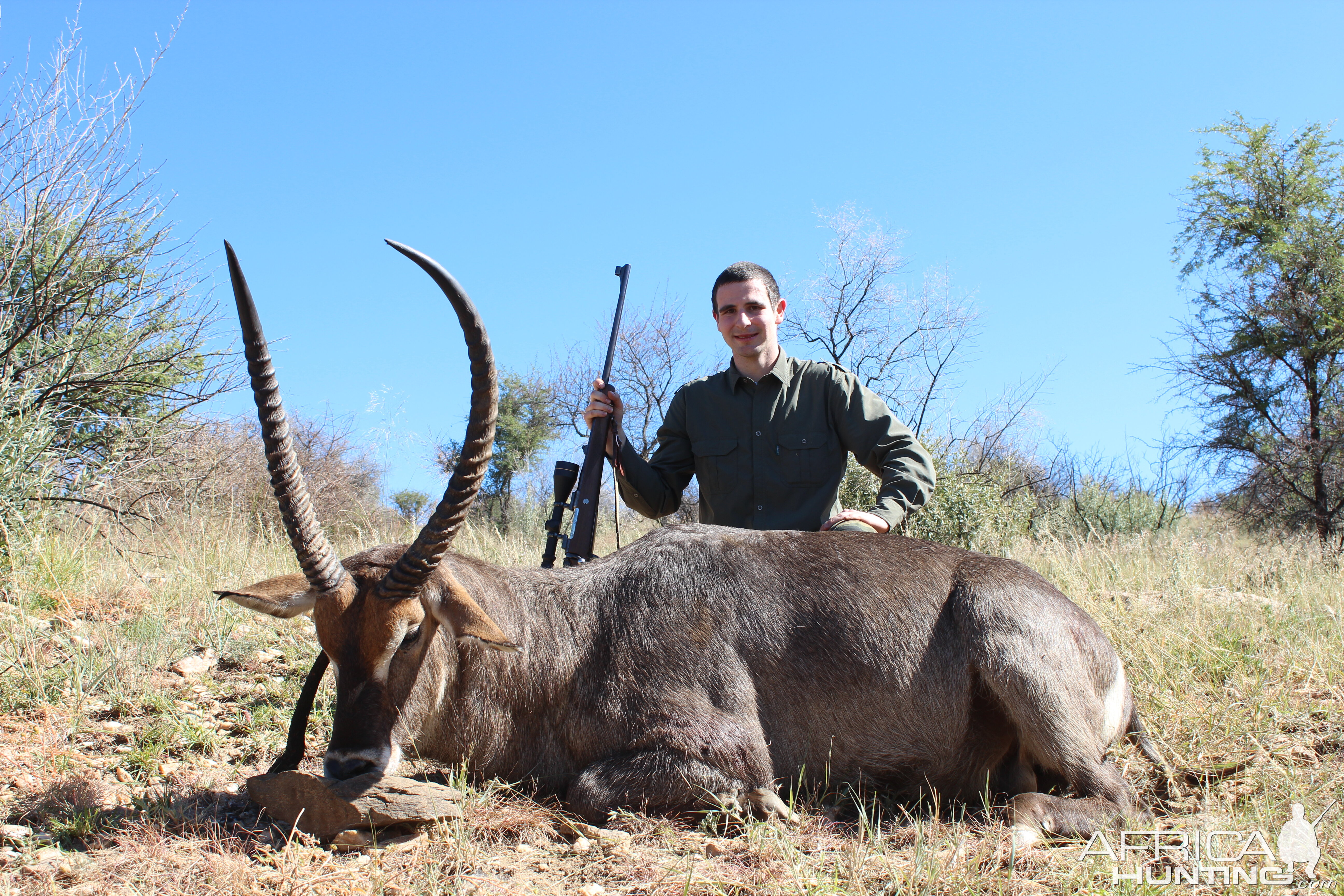 Waterbuck from Namibia